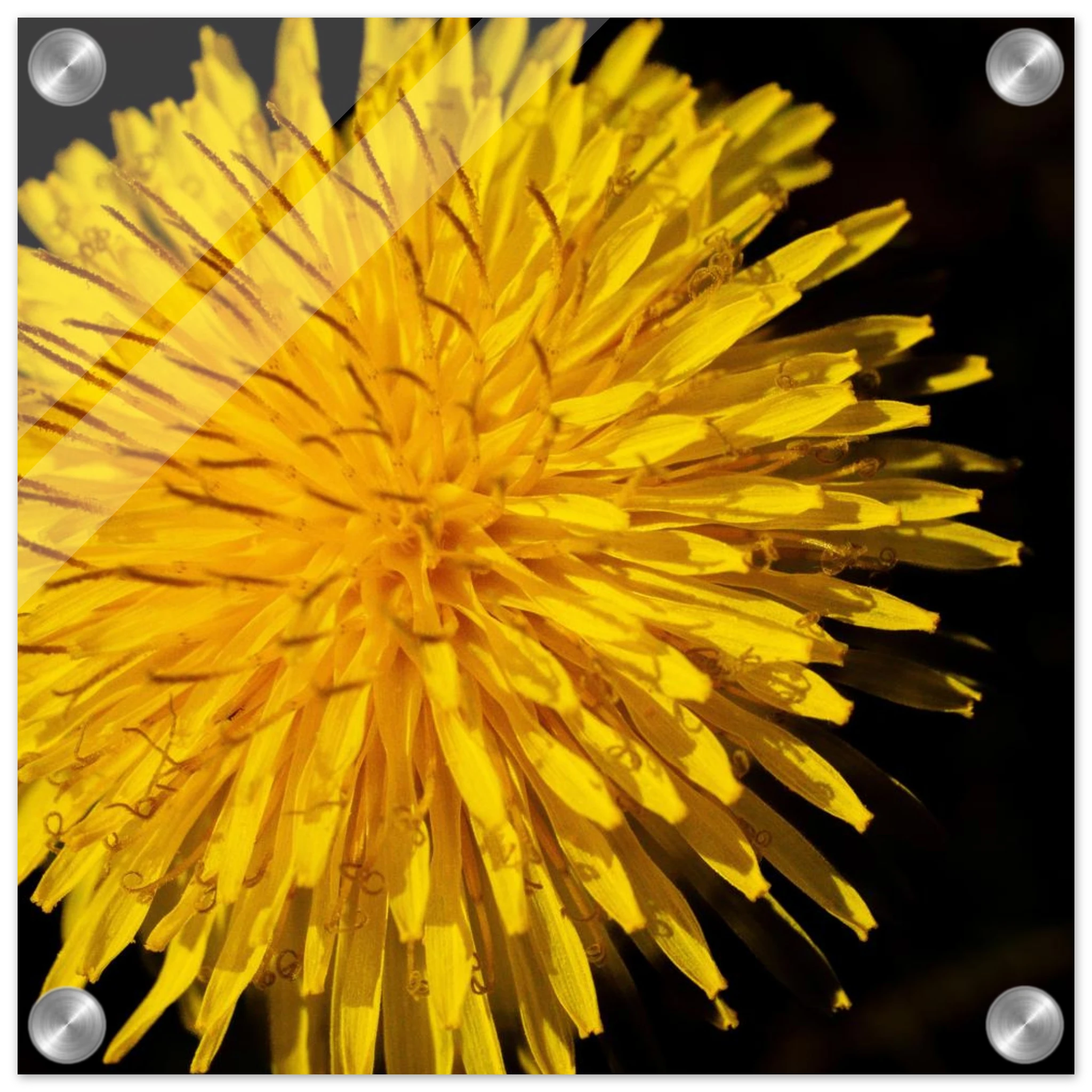 24588099-d653-47fc-9640-e4938e9edb5a