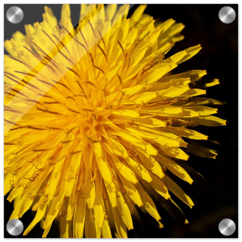24588099-d653-47fc-9640-e4938e9edb5a