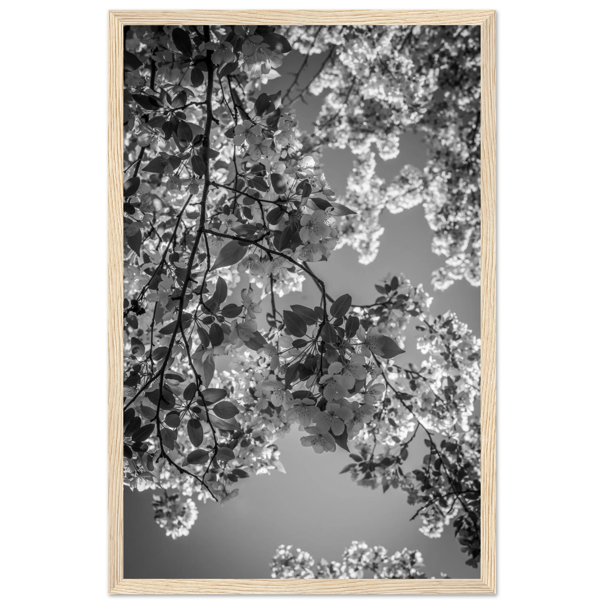 24f061df-e4b6-41ad-b3c7-86b647c6bdb8