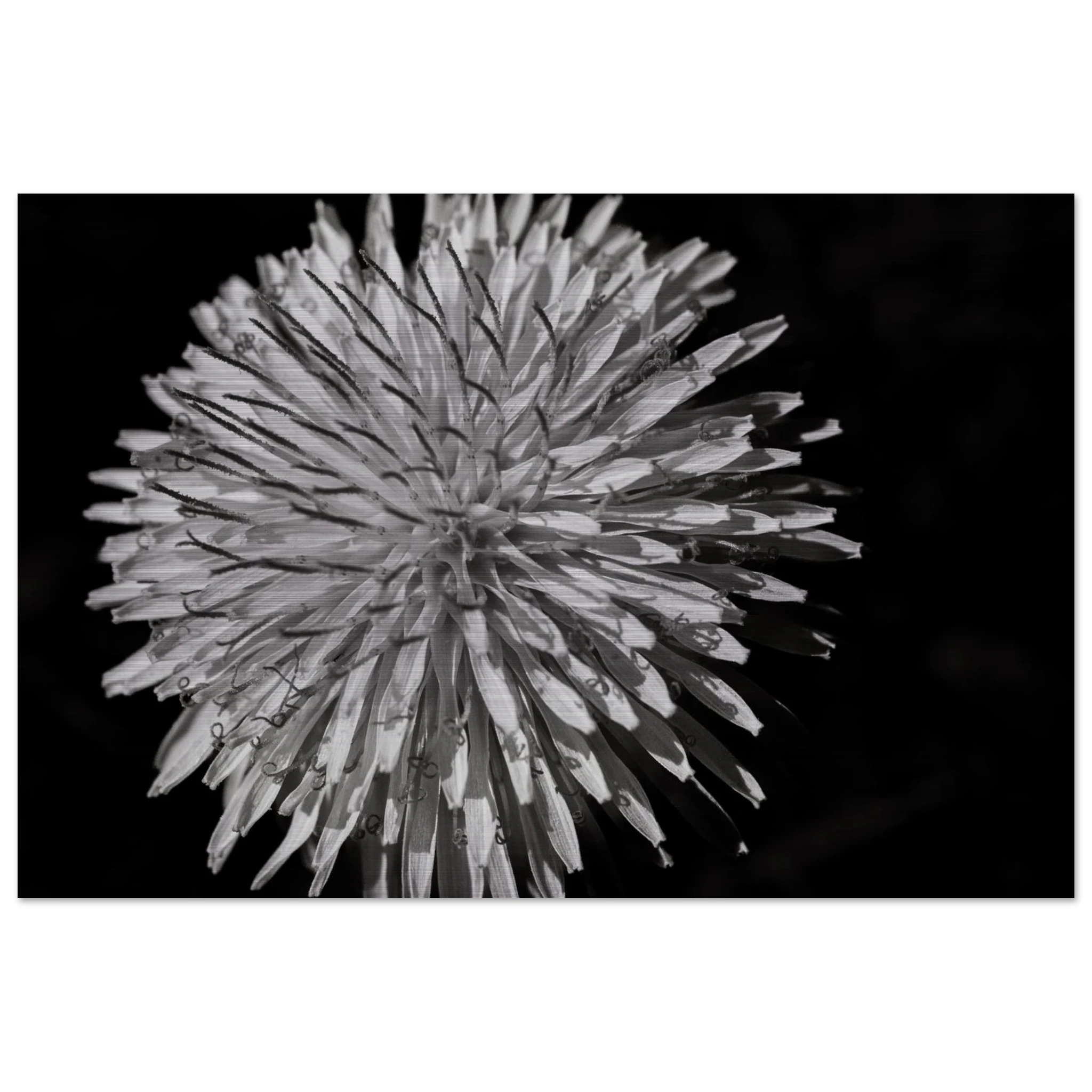 25e6896a-64ad-4042-9b7b-61888f2f5852