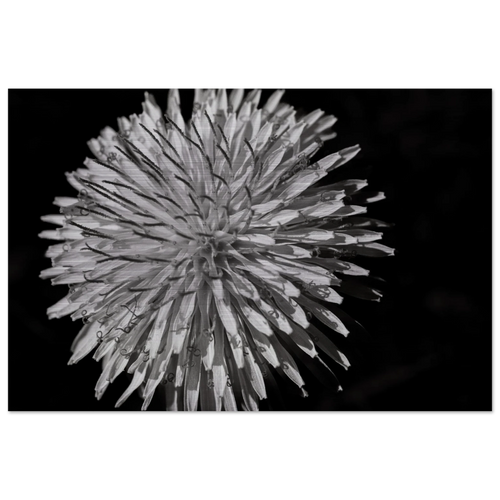 25e6896a-64ad-4042-9b7b-61888f2f5852