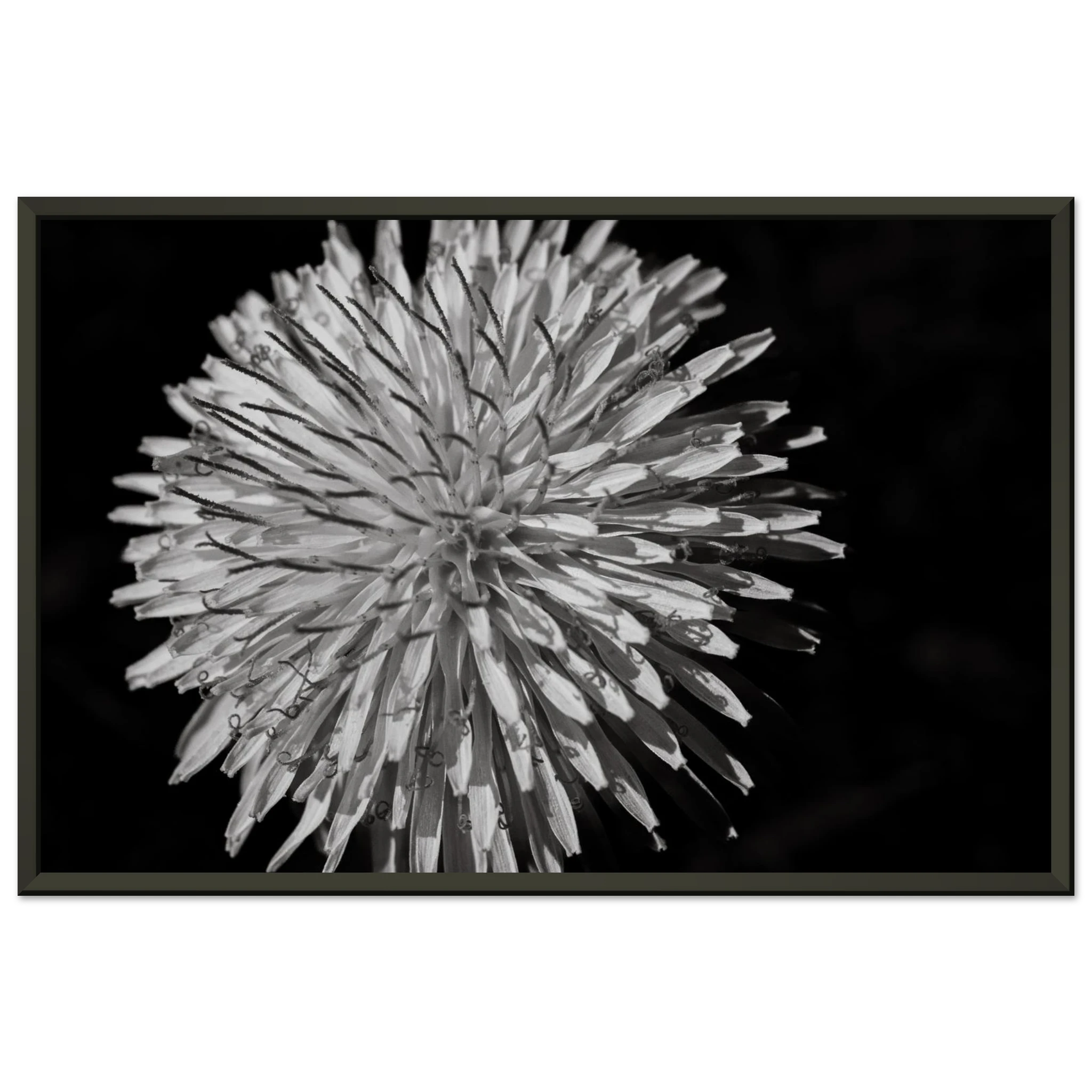 26f3fc20-25dd-4ab3-bc04-1c2b04509bf9