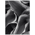 2704bcc5-cc67-4d81-9c2b-5e251d85d033