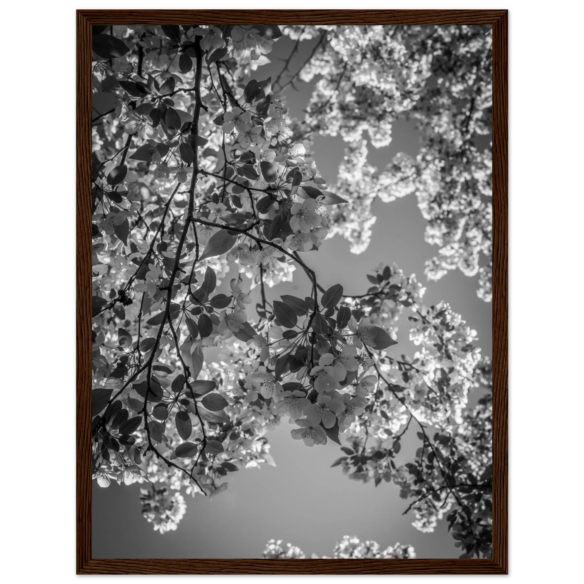 2b4484cf-5891-4aa0-922e-04569d65b2f6