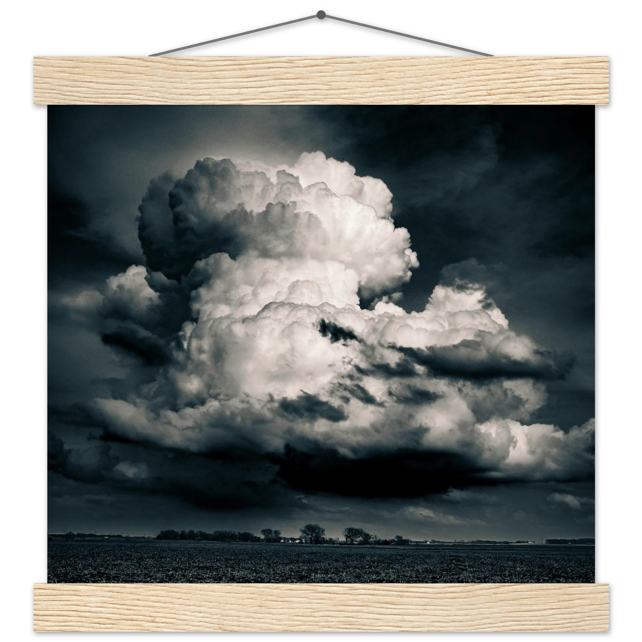 2c544445-4862-437c-977e-08ea0b824da6