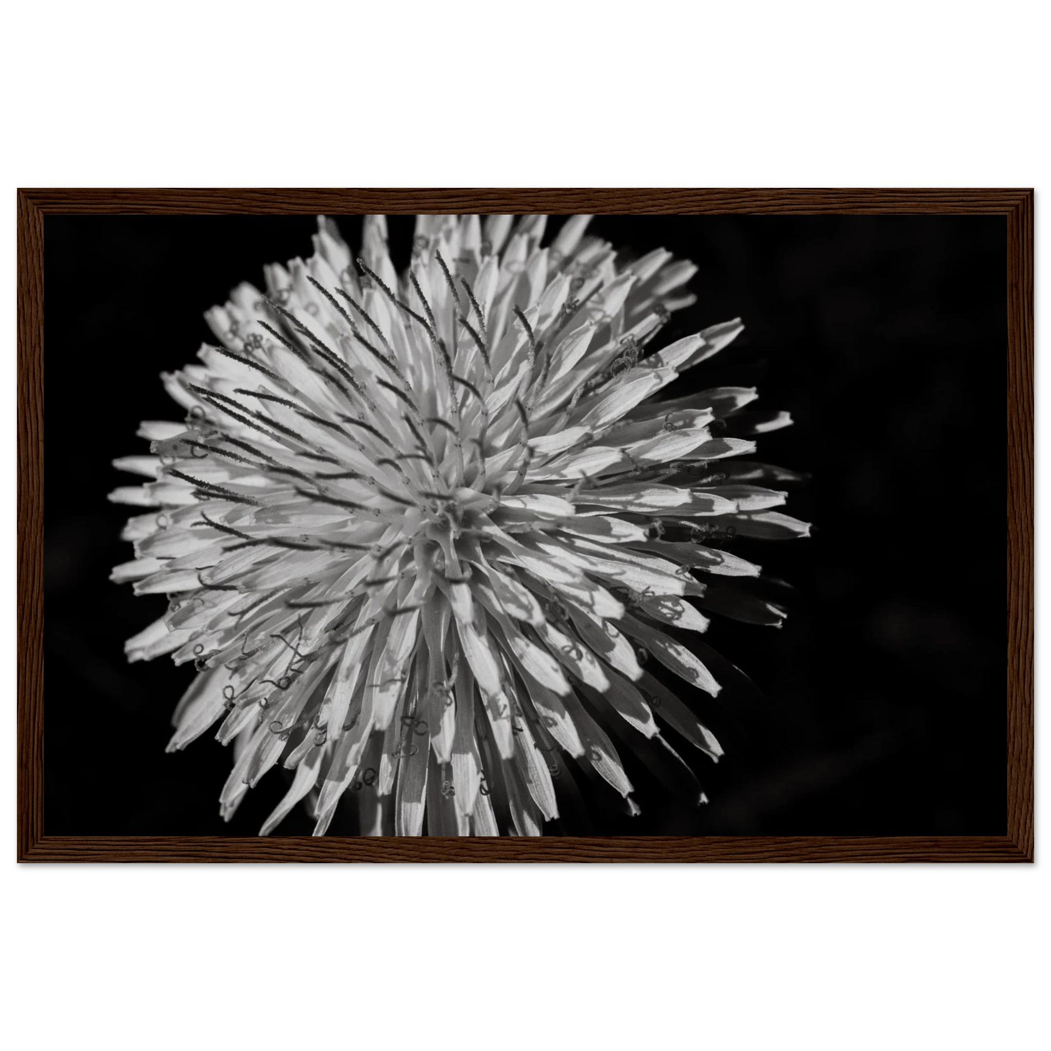 2c74b0df-ccf0-4e4e-bdff-842cb3106824