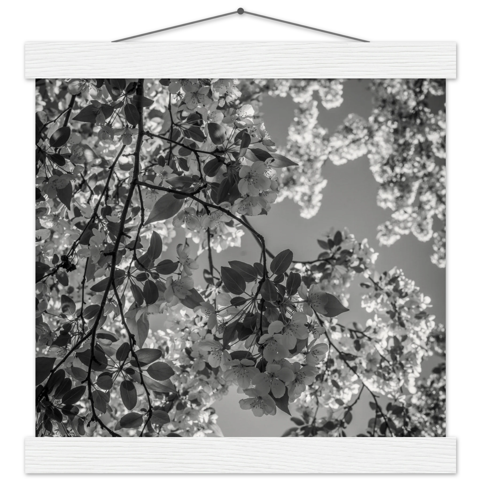 2ca7e491-c0f1-4d64-85dd-ef2ea1b12803