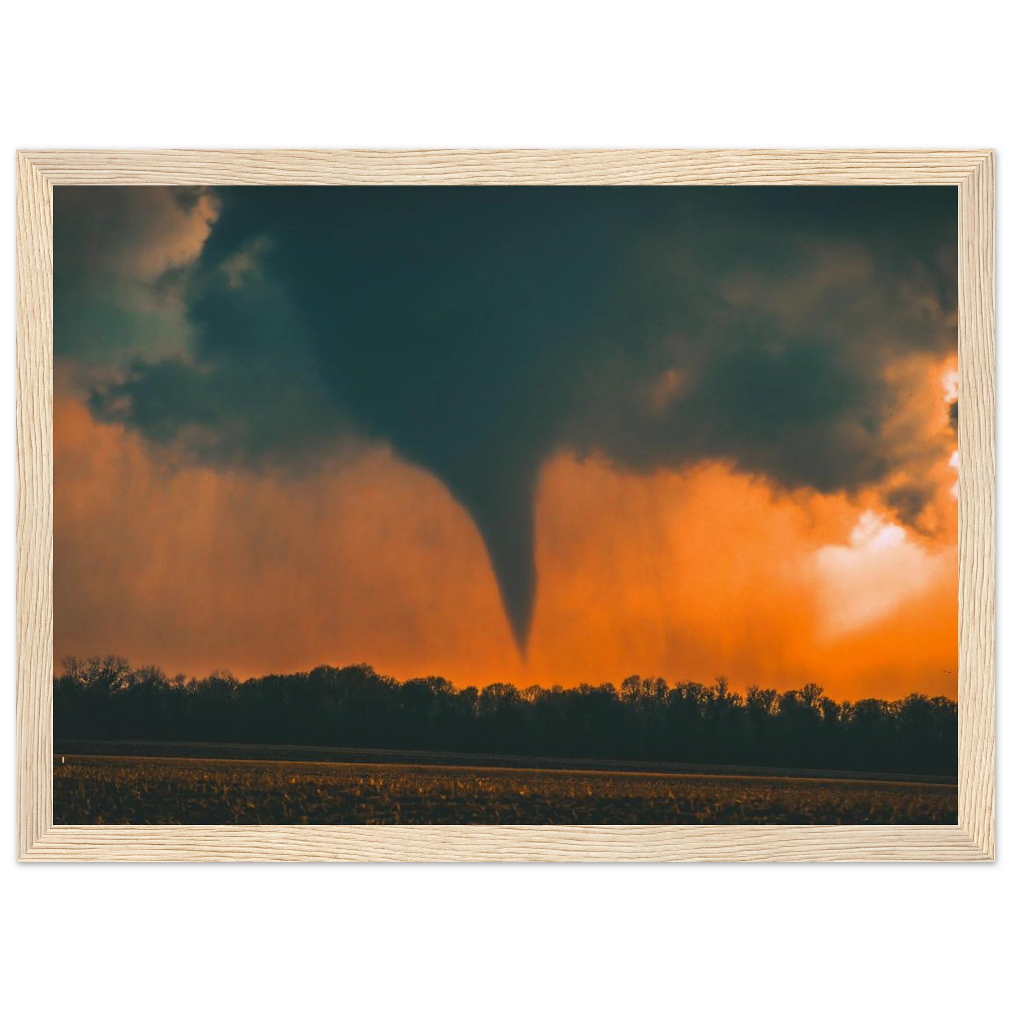 2edd0802-f097-4ce9-bd72-2173e2ae3b7e