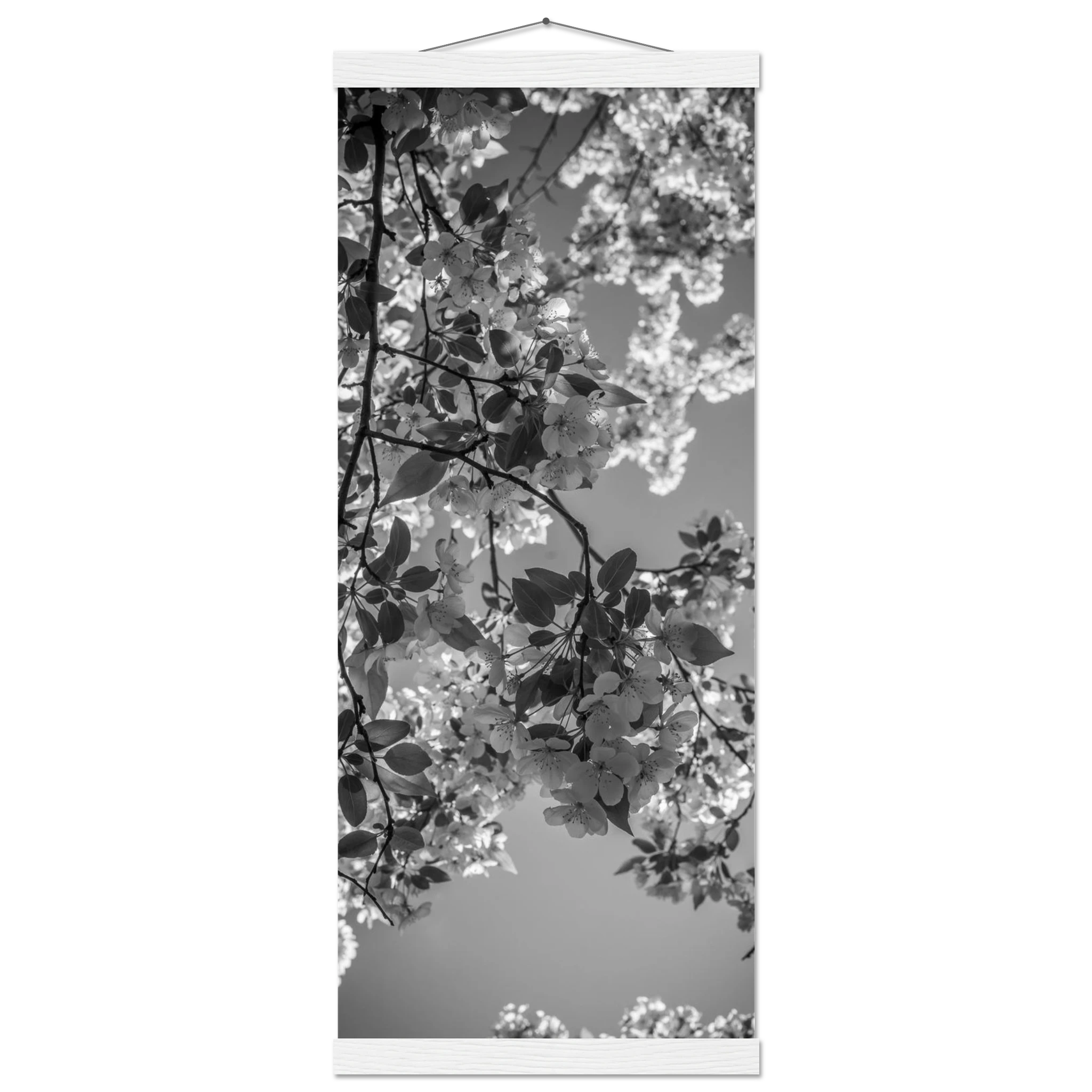 2f765c2d-e237-4730-b465-5e93e83c7516