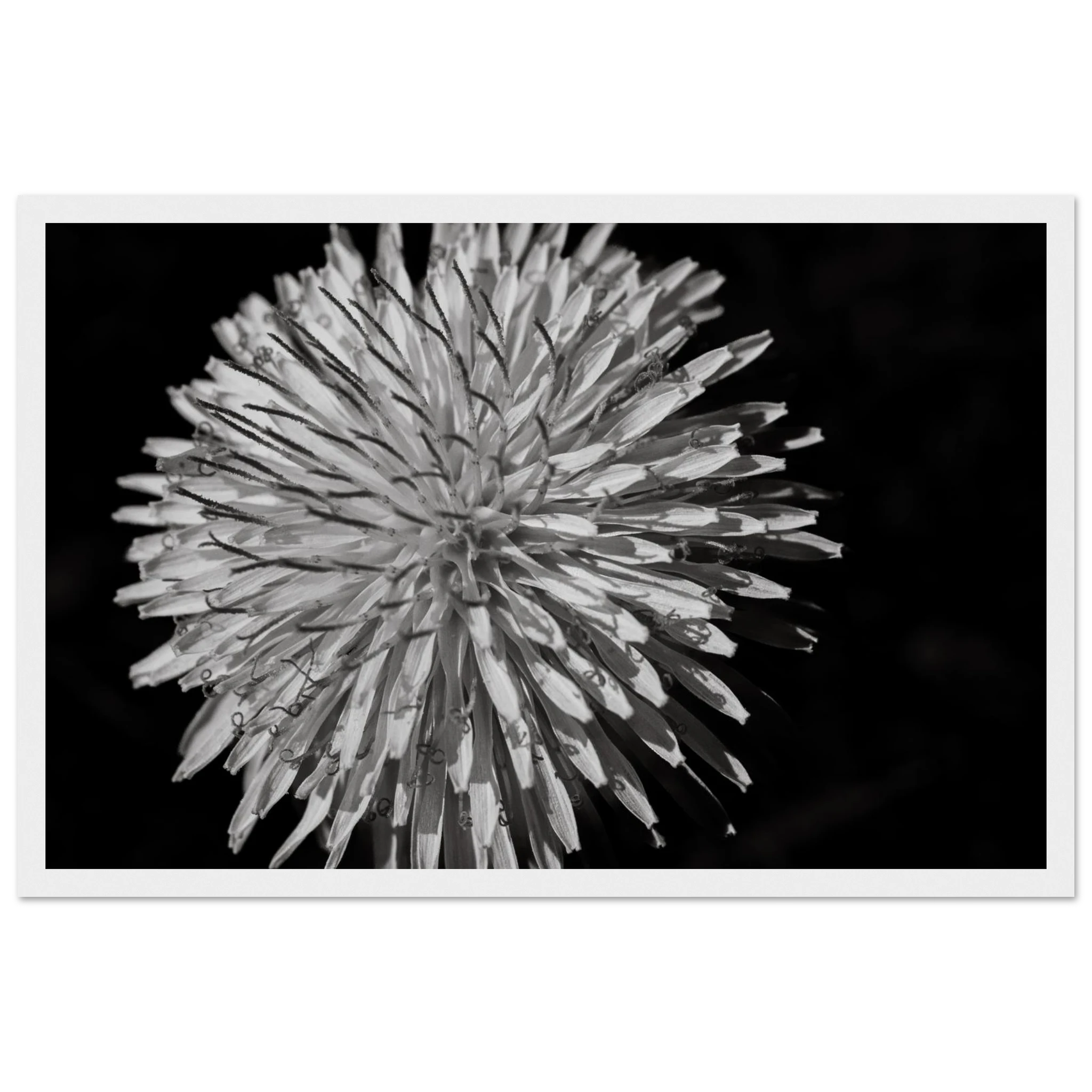 2fd38d57-71be-4144-8074-145f05eb0cdc