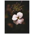 3177f763-e629-4a6e-b168-8a12c705c52b