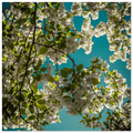 31f20d91-c3d4-4faa-93a1-a9bef8107a0b
