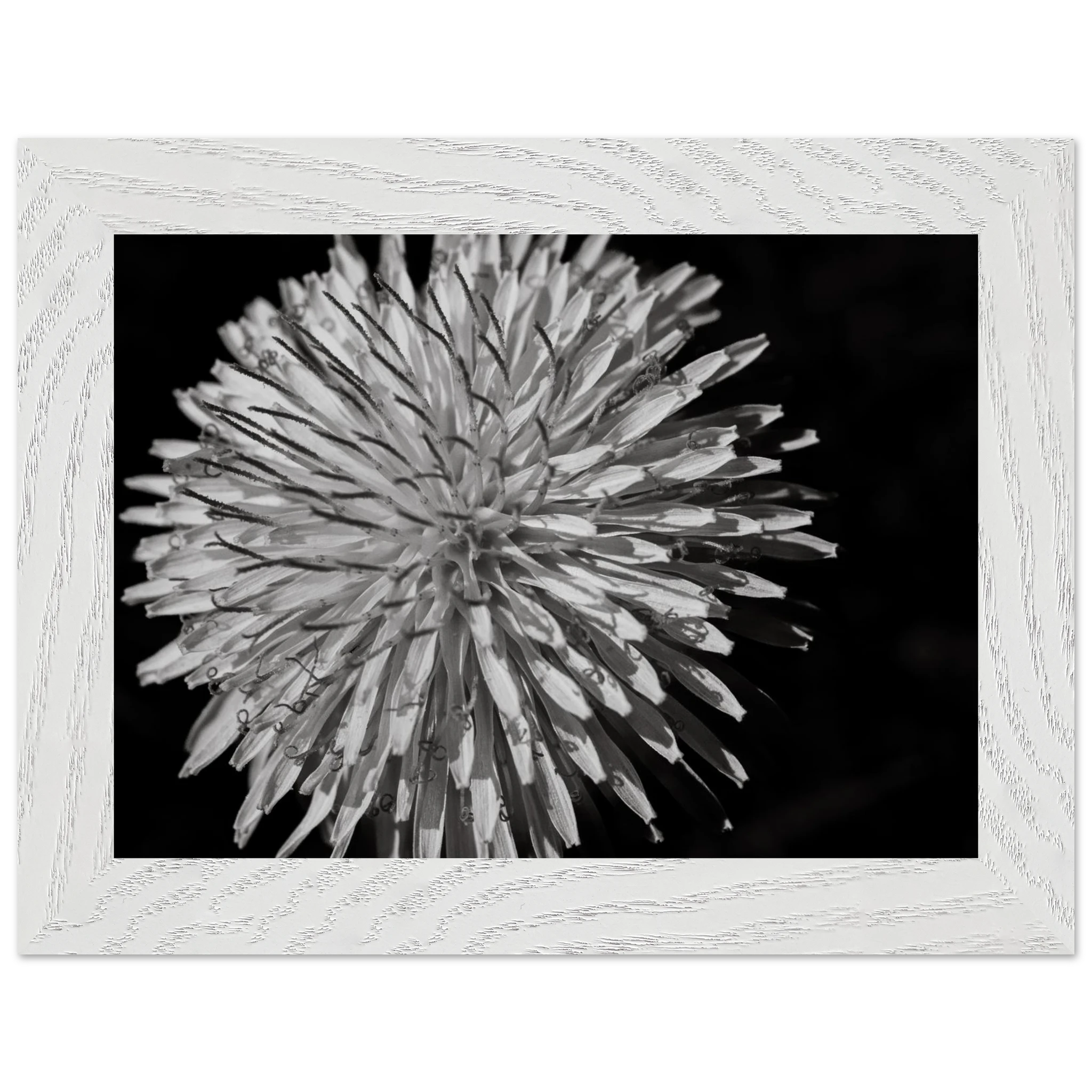 3322c676-577a-4e76-9626-8f53f8e444a2