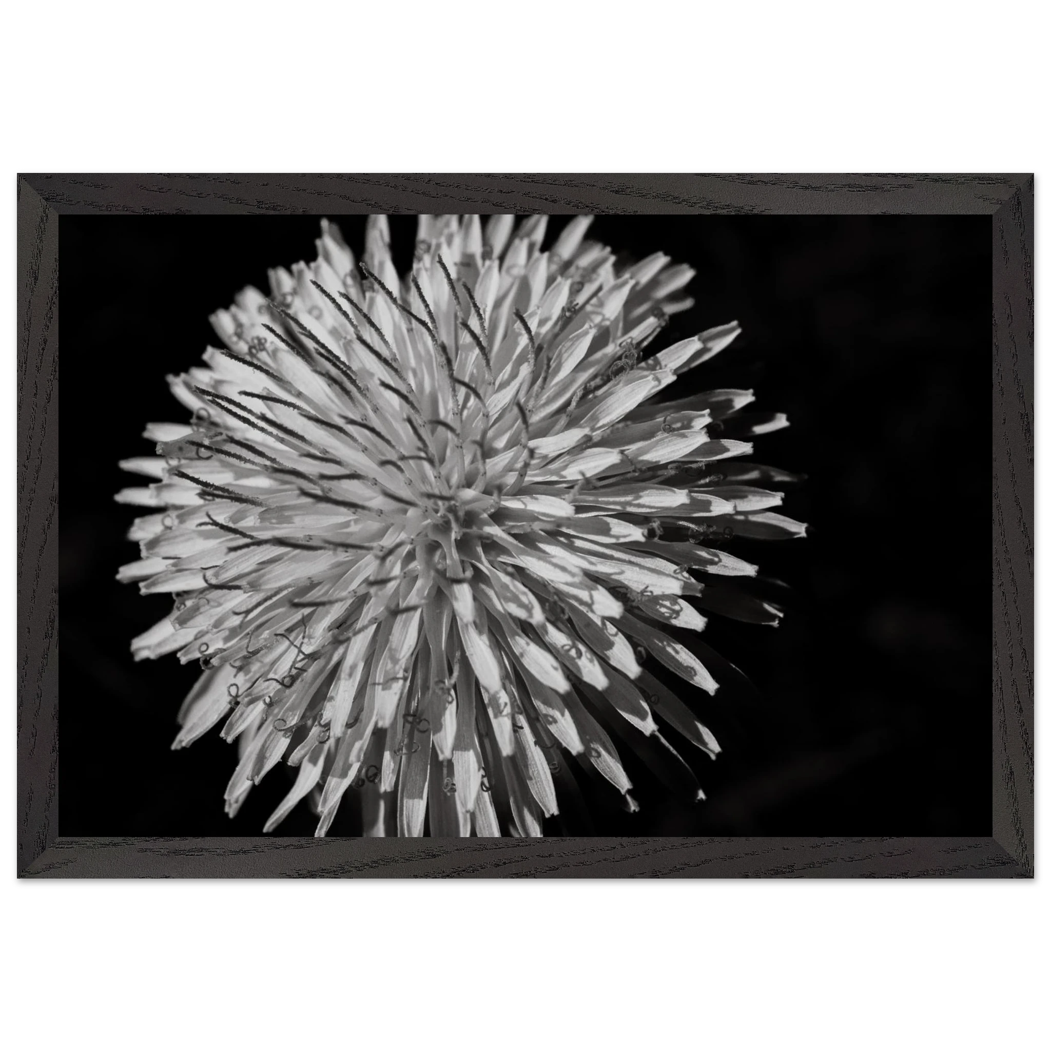 33c4f628-fcd1-45cb-b183-6d9536790371