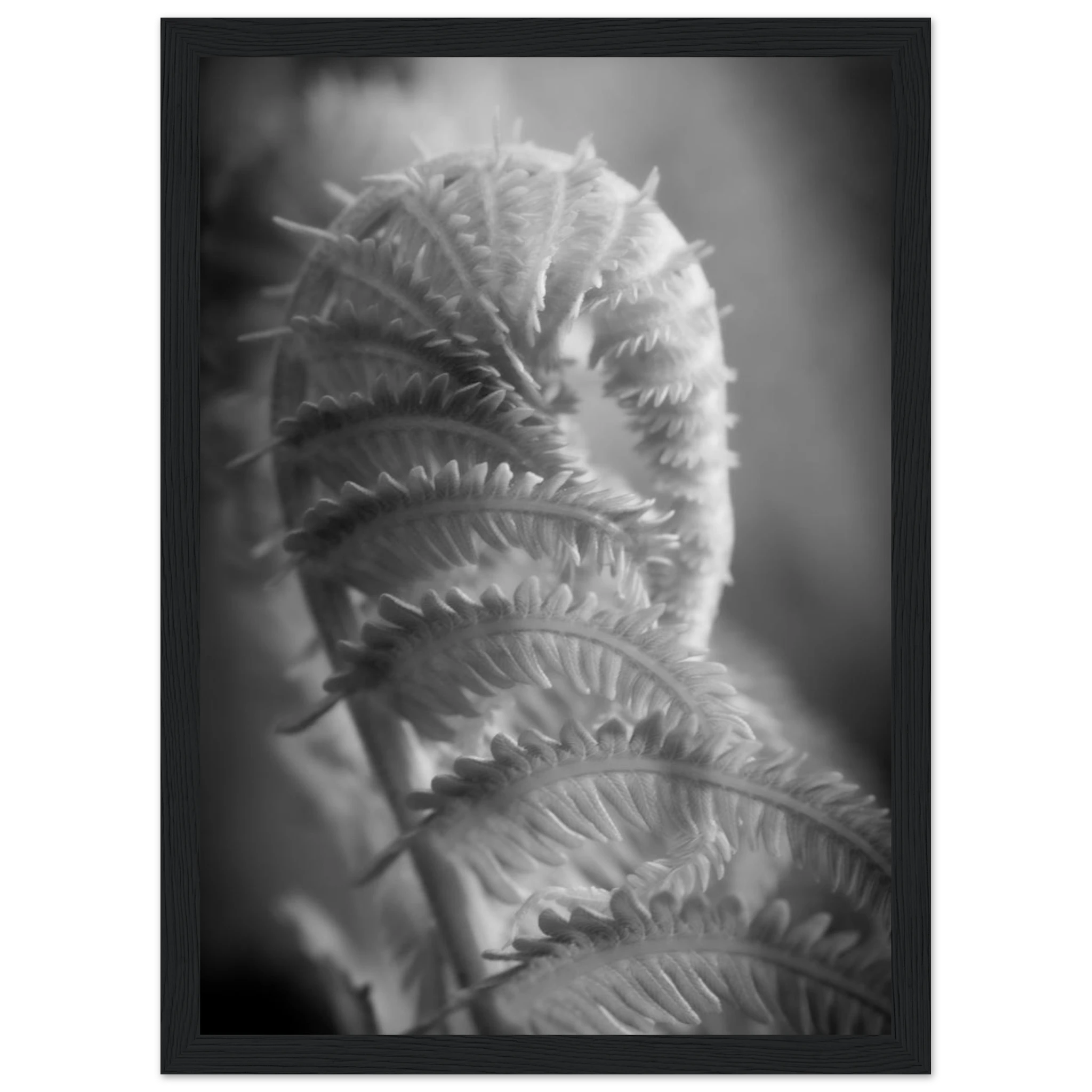 348ae5b9-749d-44dc-9507-7c02f2fd097f