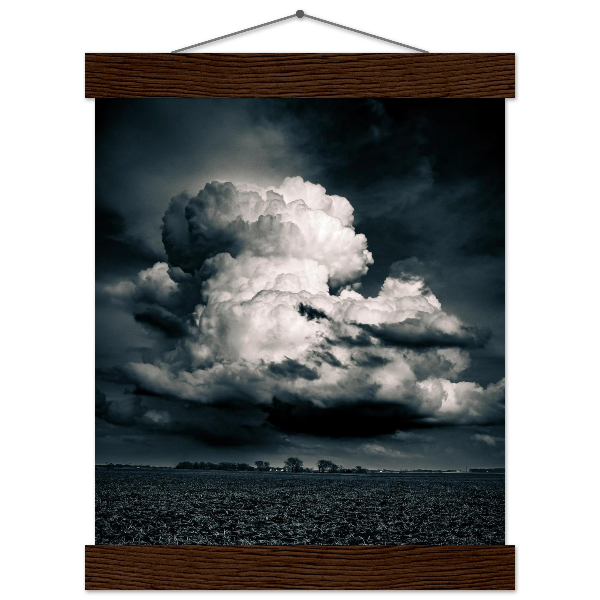 35b98086-bb4a-42aa-af80-f1105b4961ff
