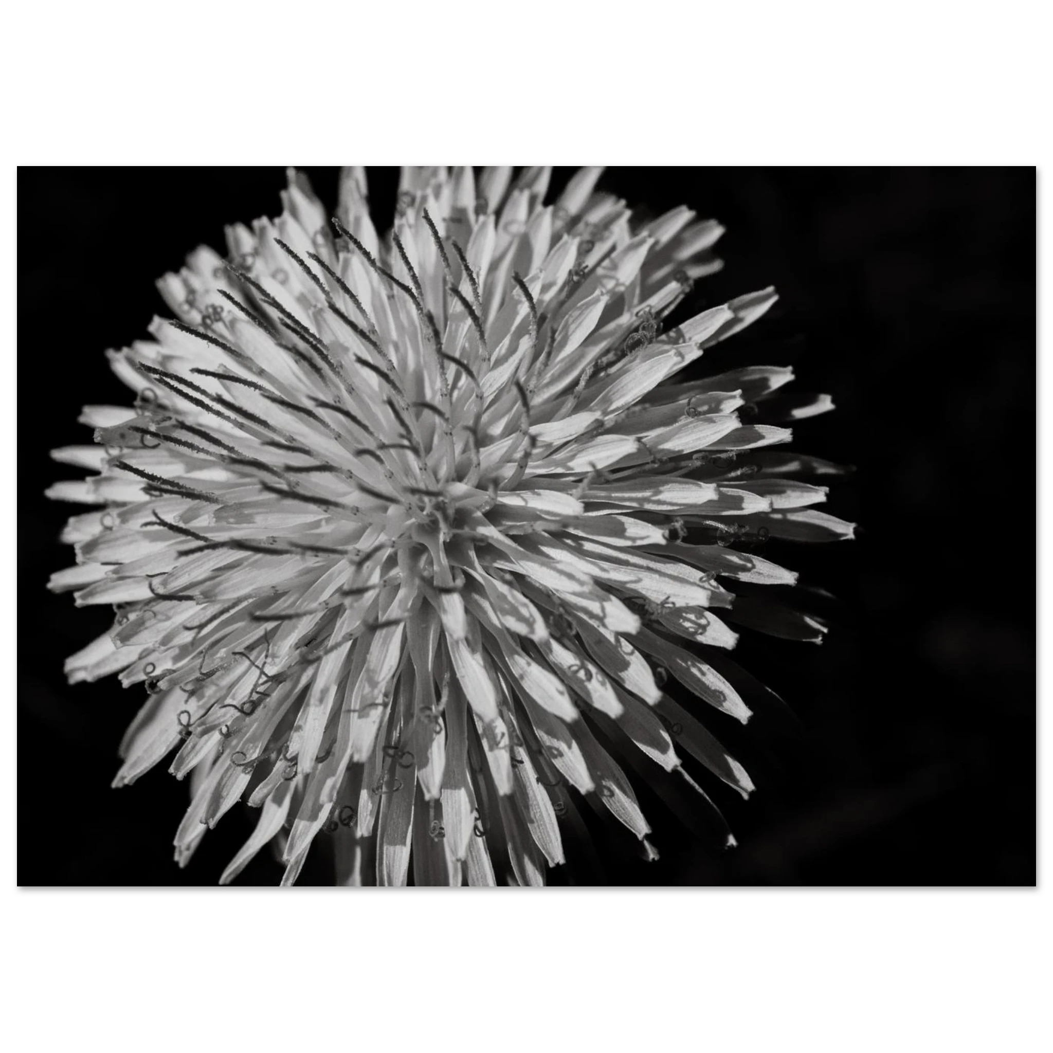 3651aa1d-1ffb-45c5-9aaa-11fc9c4e1a87