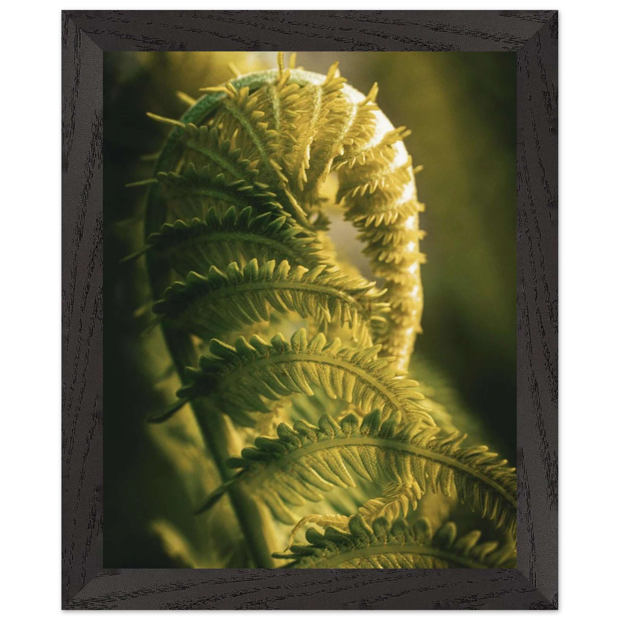 36c76ecd-0256-4be7-bb41-1eeb72b44423