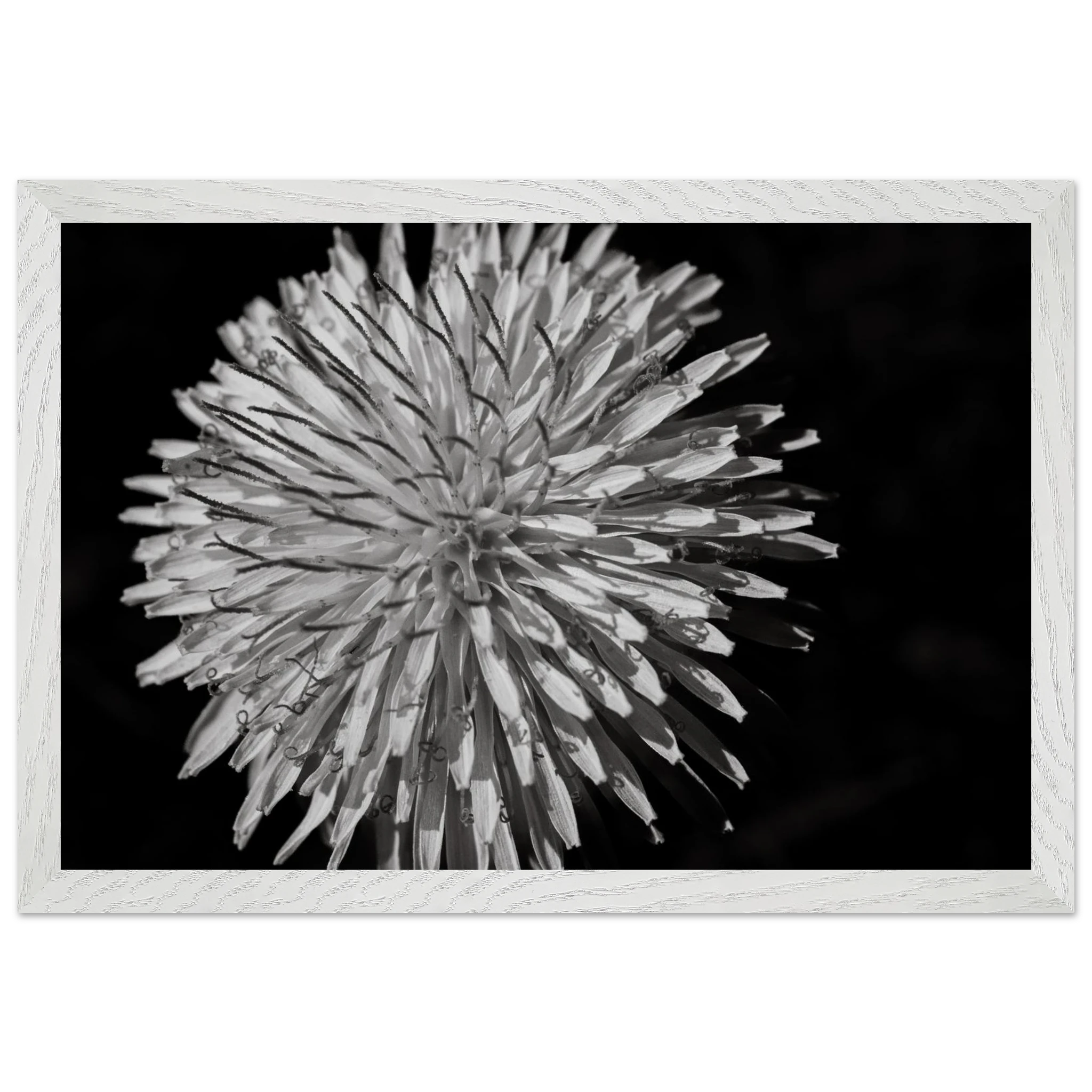 370b4a5e-3480-4ffb-a01c-6acacfffad03