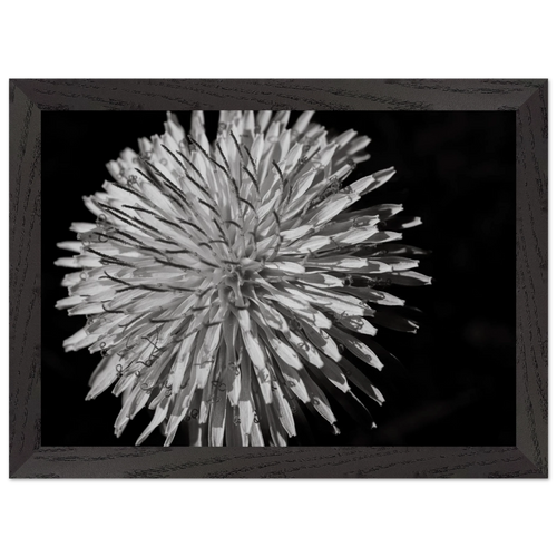 375e5cd9-c755-487a-80a6-66c187cdc26d