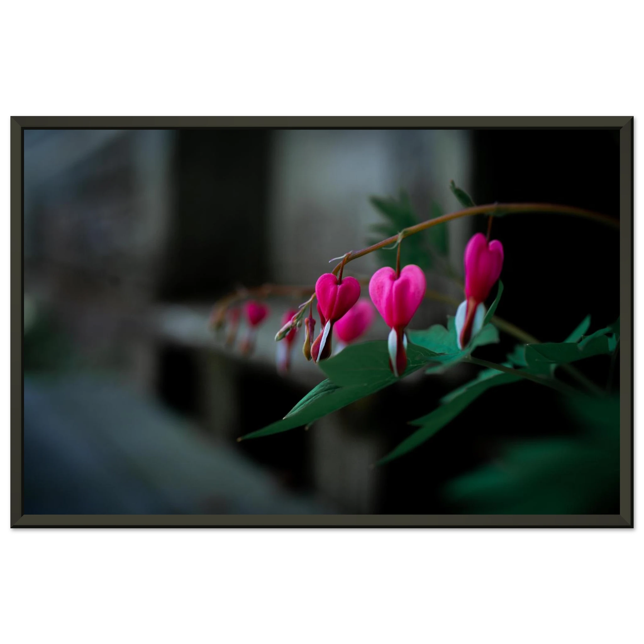 38395e37-6681-4bfd-a2ee-8940bfa5cf82