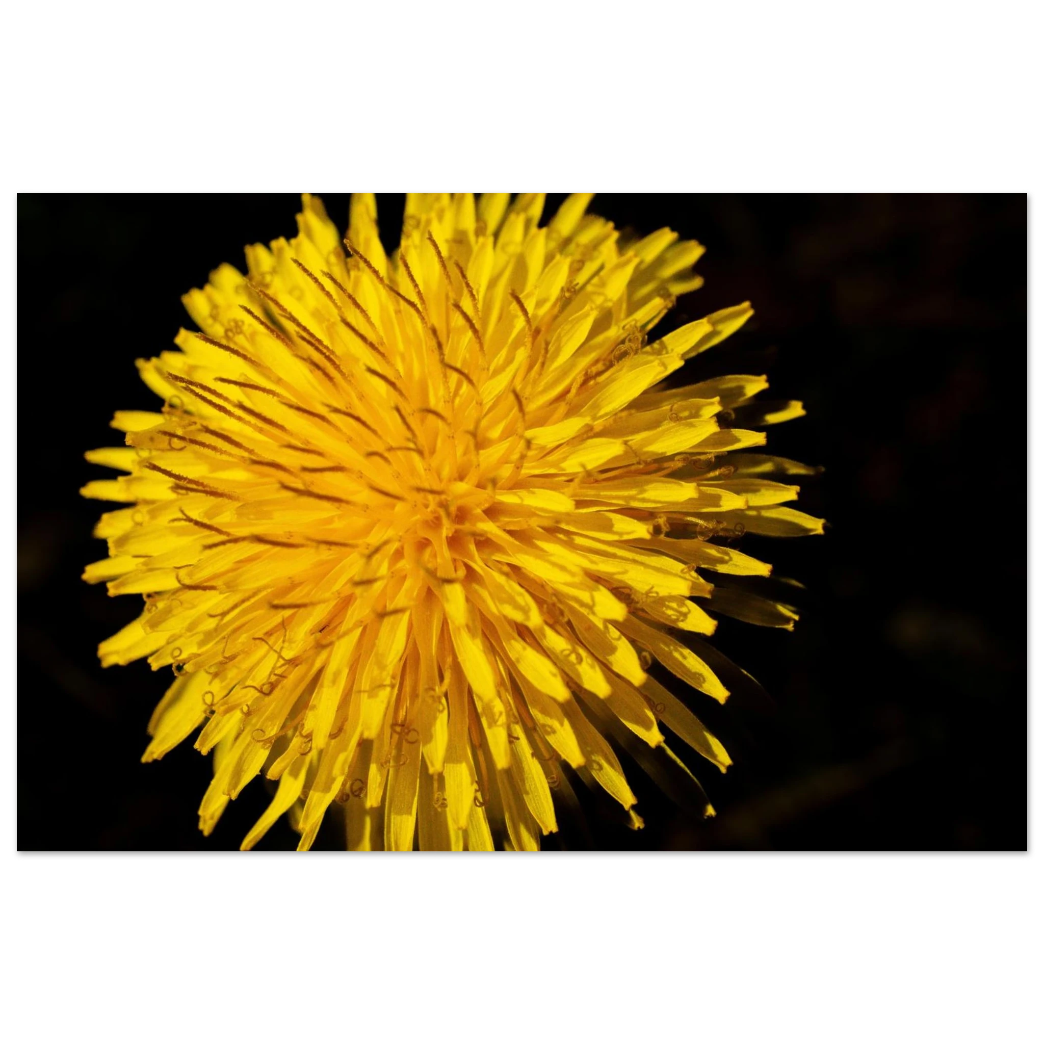 384df162-401a-4d38-ab57-76af865f19f7