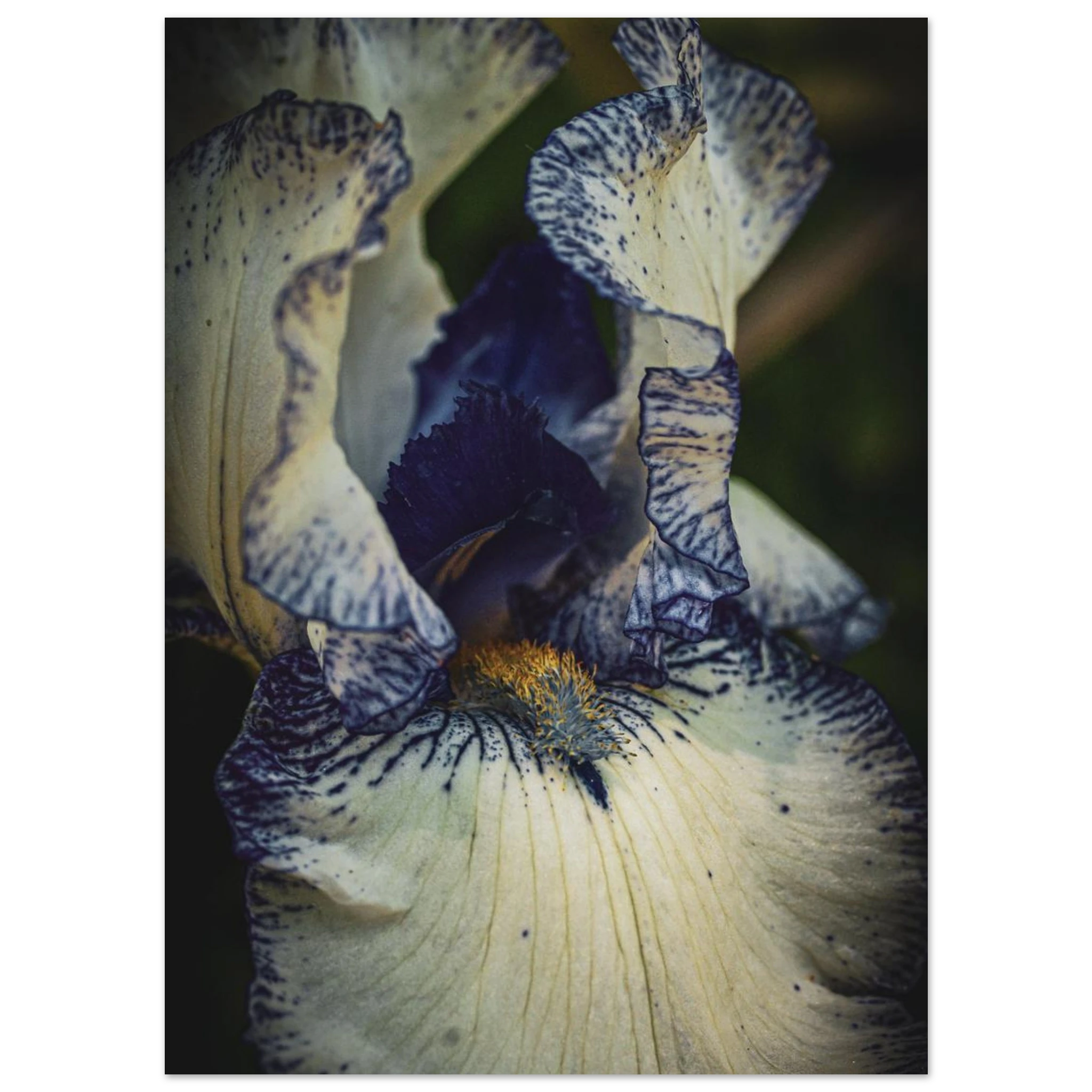 38917228-dde9-40cd-b59d-e3c649c6f97a