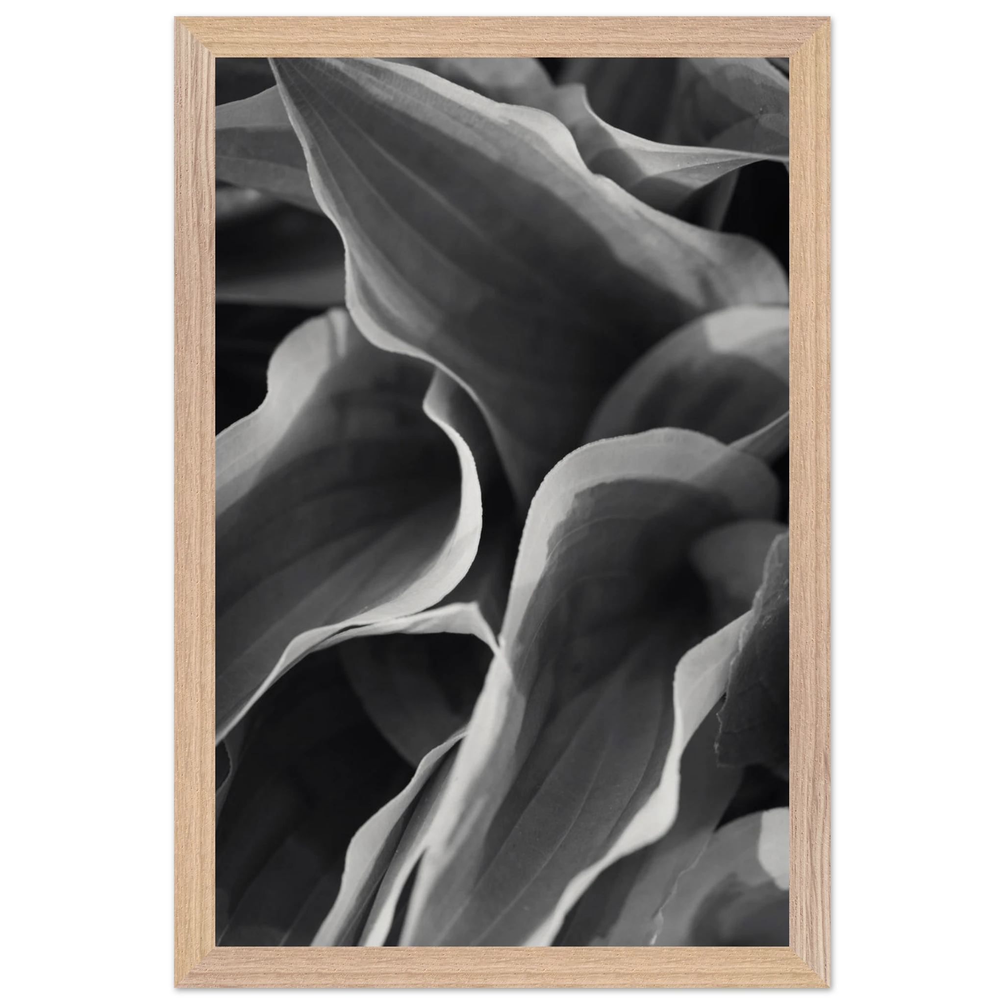3917115e-6d65-485b-be81-51d61cbce74f