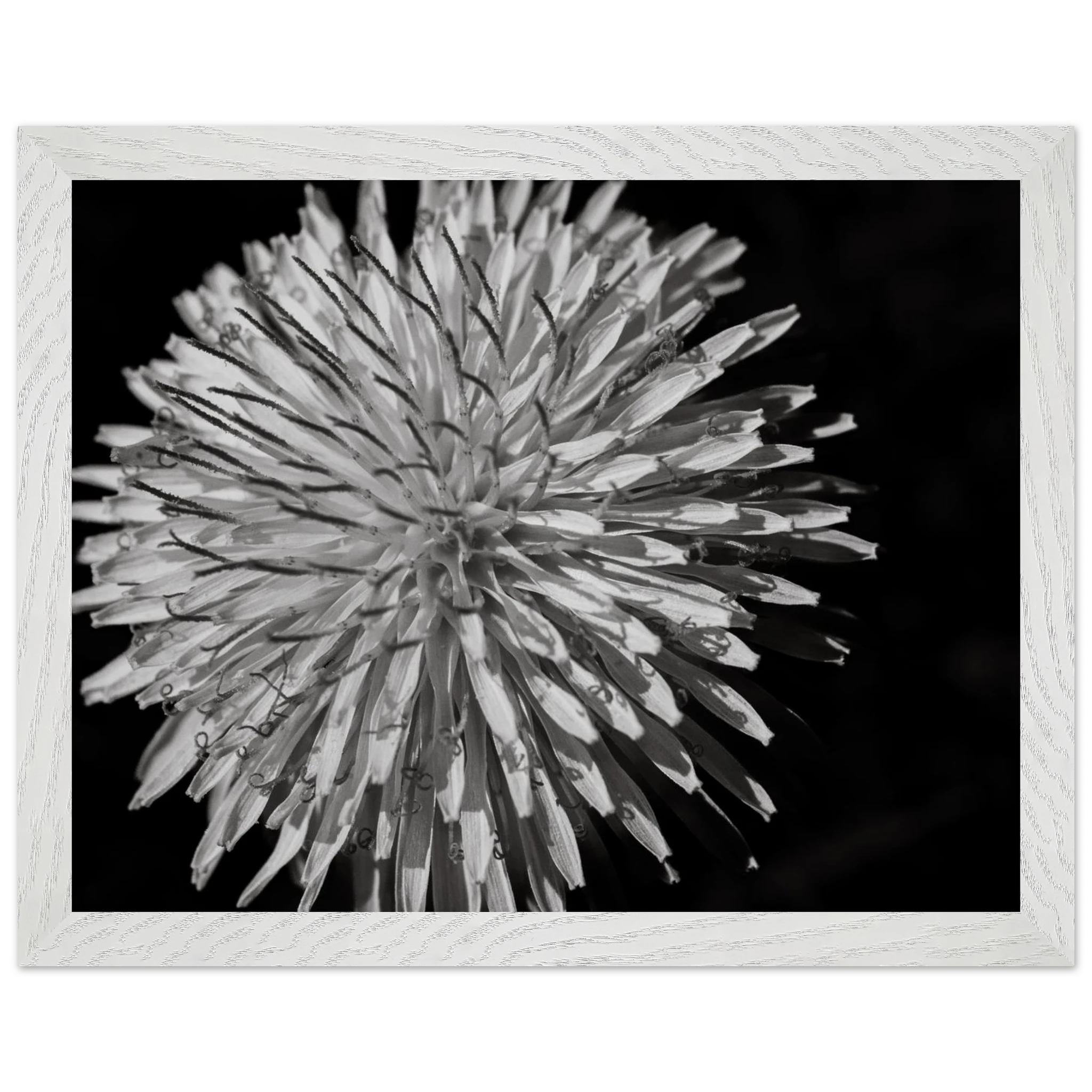 3a8347fd-5d60-4ad2-ad5b-2e533144320f