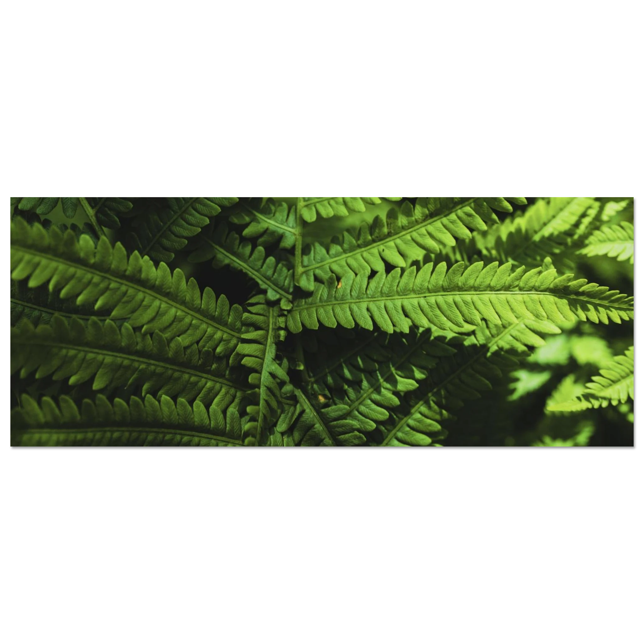3c45b988-cc5f-4fee-9cad-cb0b66e82f78