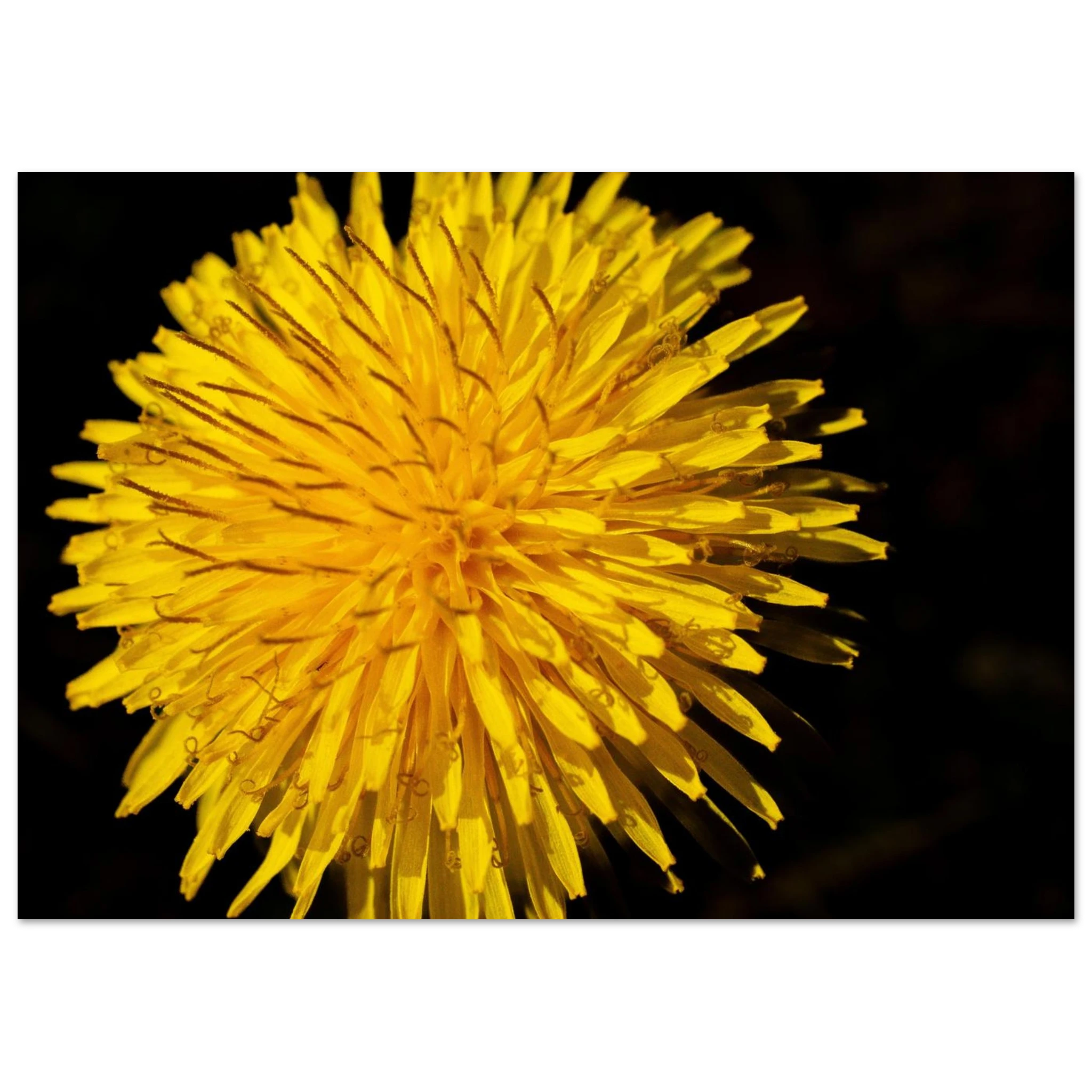 3c5874b1-040d-4032-be8a-0e087821c3b3