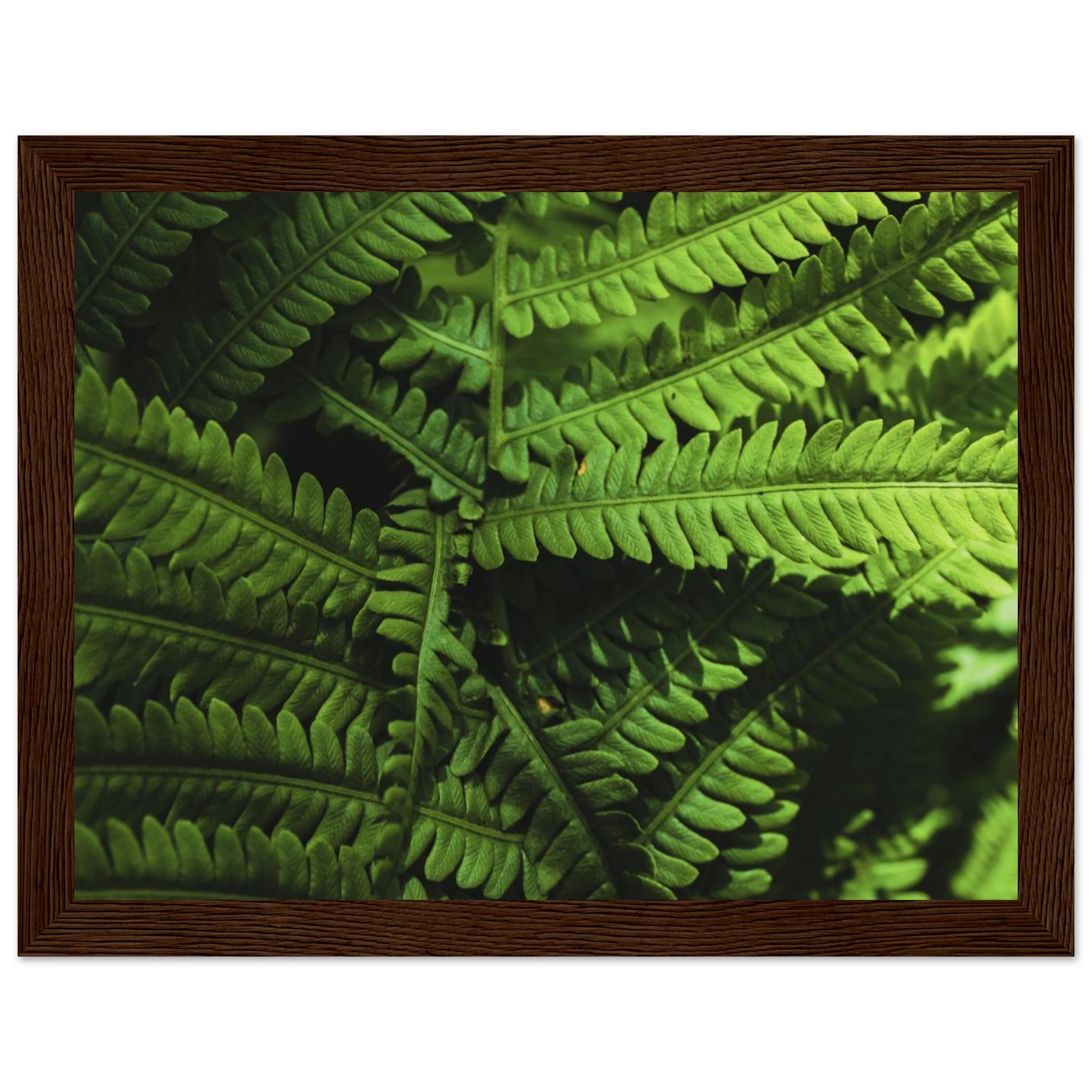 3c754e6d-f062-4707-97d2-70de84ca7b27