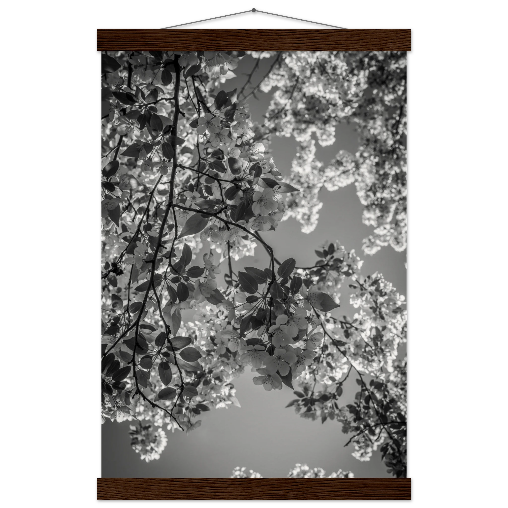 3cf0c89a-0203-4e1e-88de-db4e293d4e62