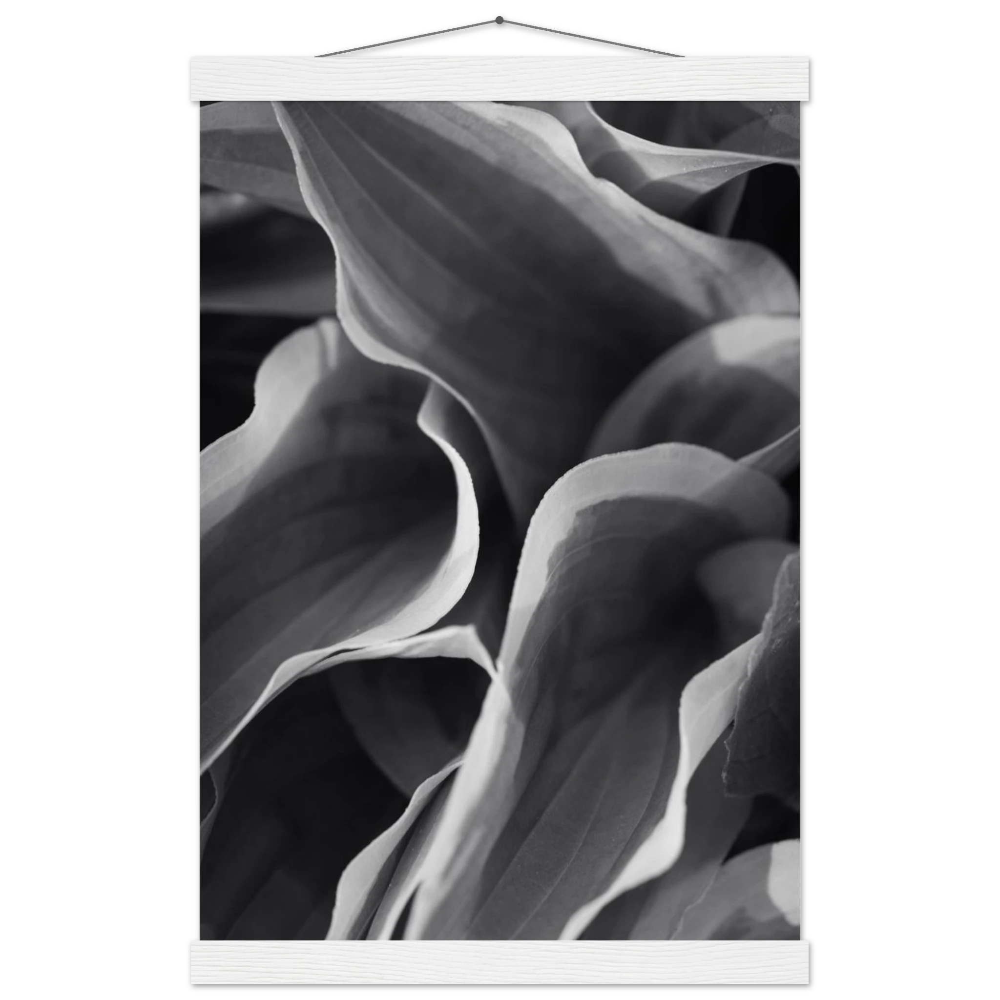 3d6ad81a-d1d4-4e76-9b96-110f96a779a0