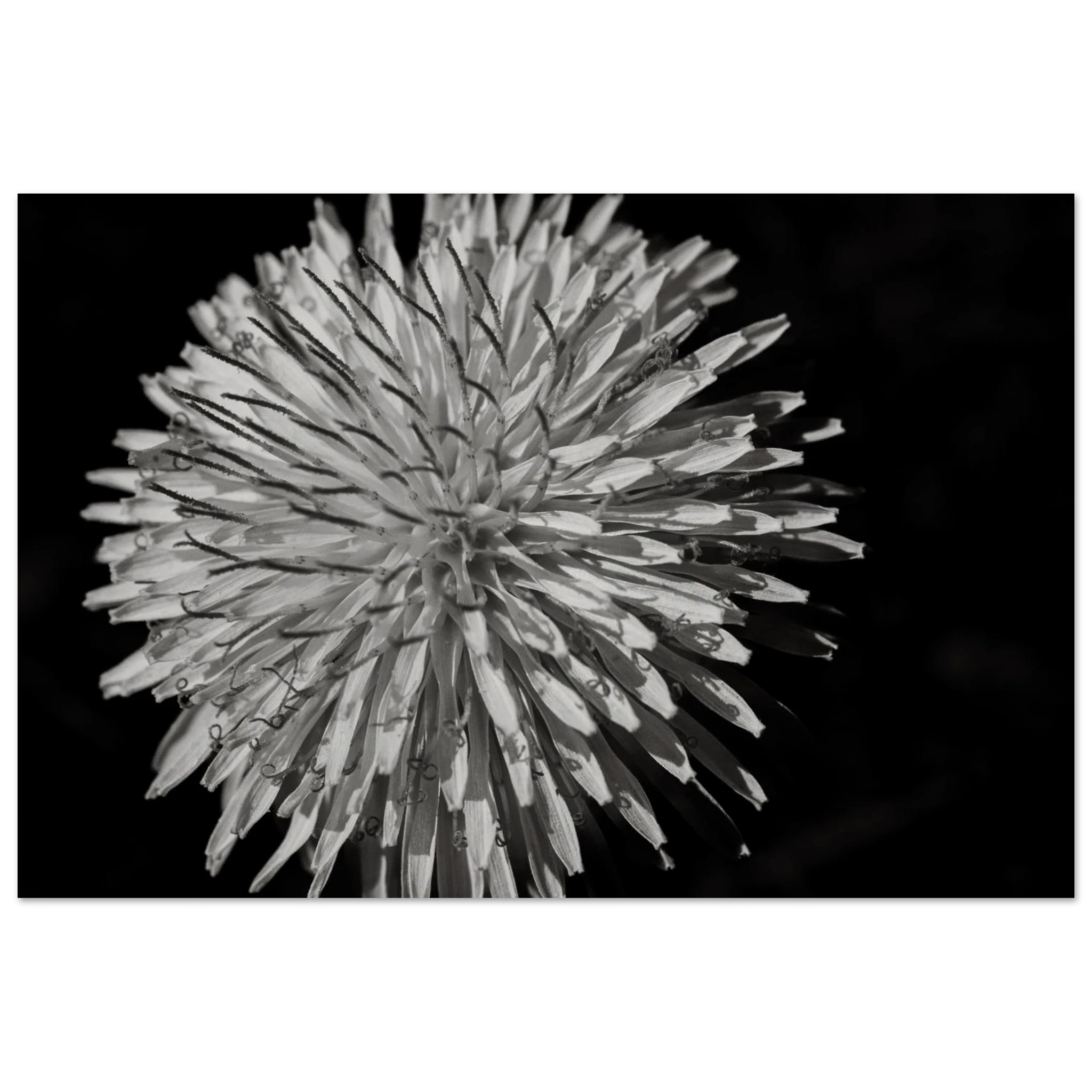 3e696d85-9cec-447b-82e1-fe80605a1209