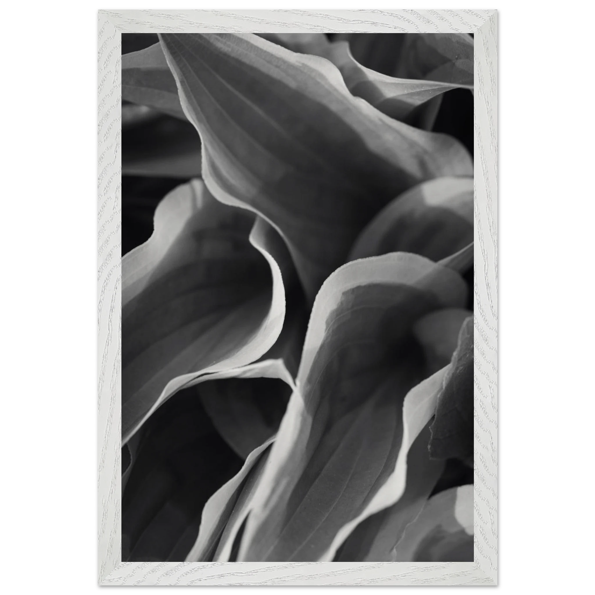 3ecee0e8-ae18-4590-b430-797ac1b82937