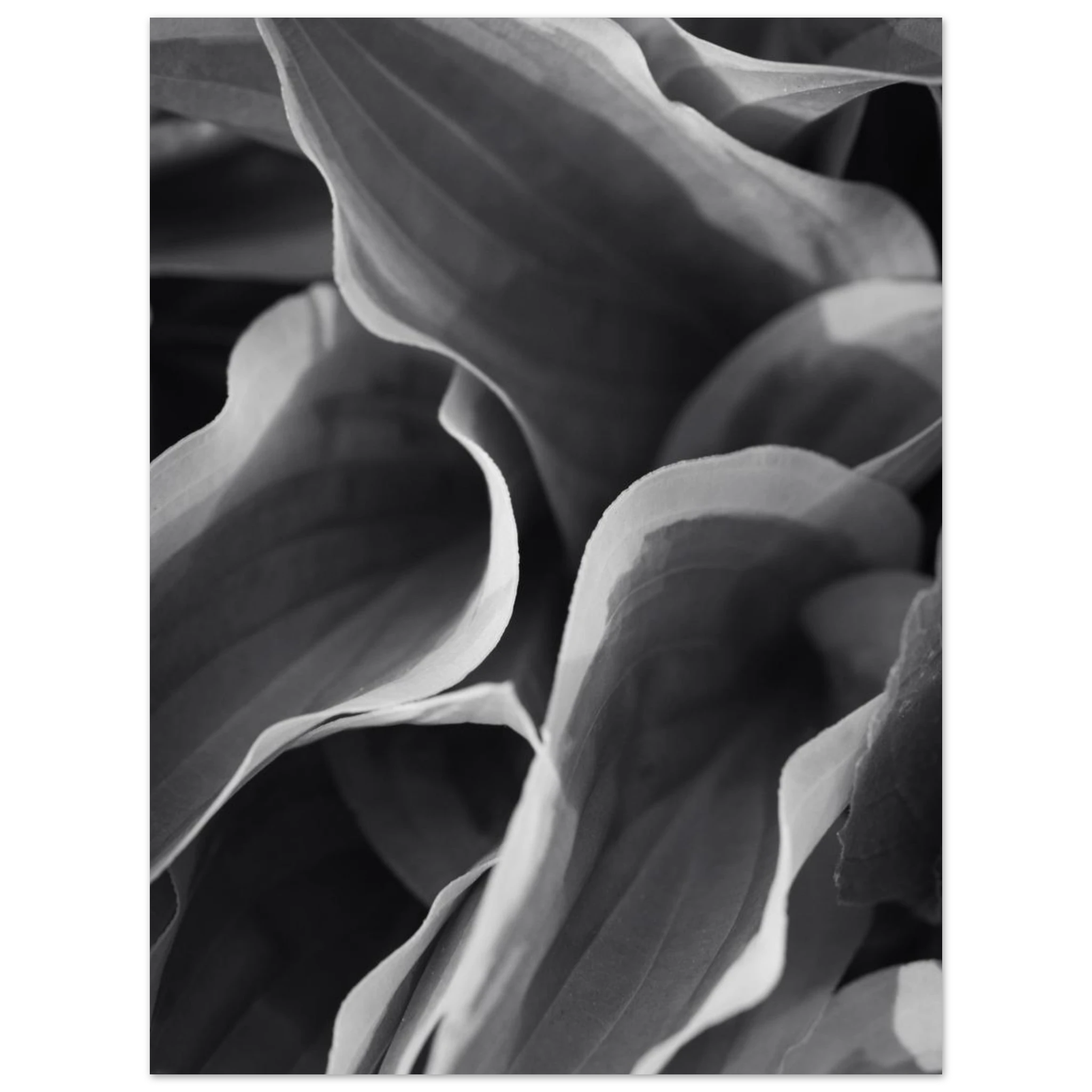 3f6b1017-e951-40cb-90bb-75311489bf84