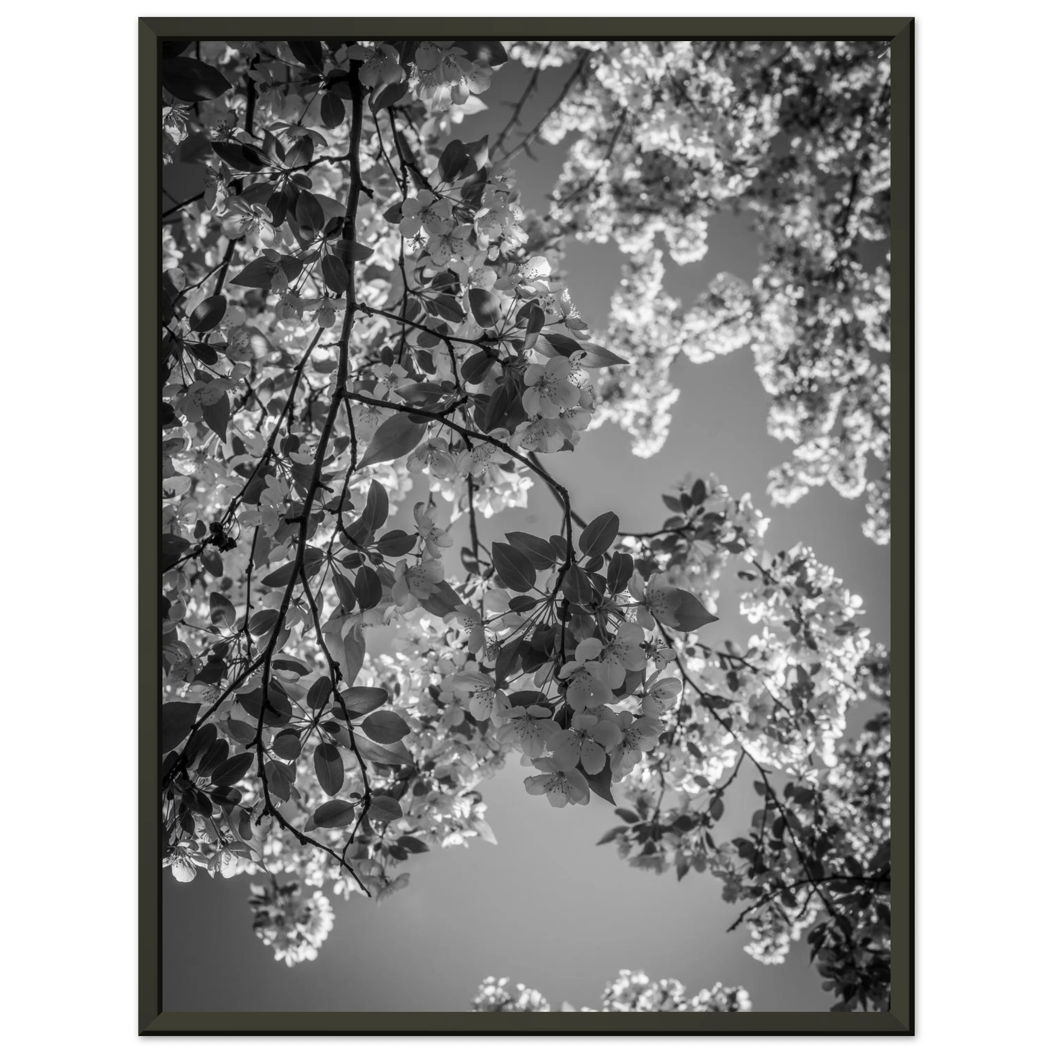 3f6de06e-774a-4807-94ae-cadf2d472a54