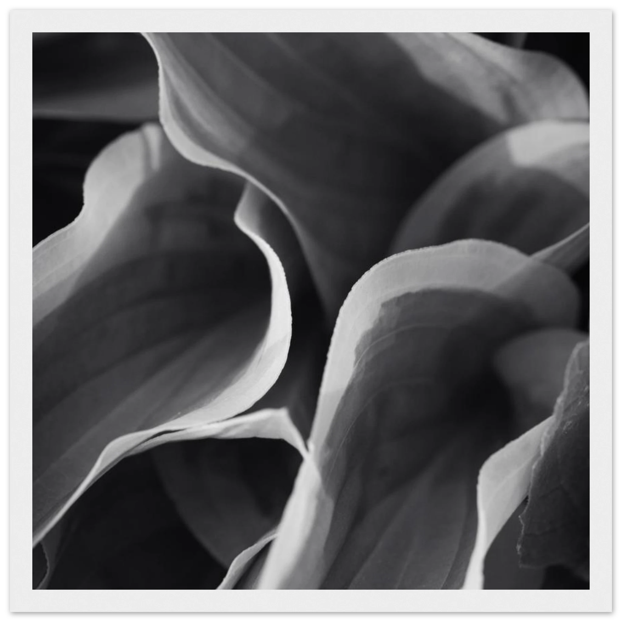 3fa14ab4-0266-4d45-84e2-e64577b9b026