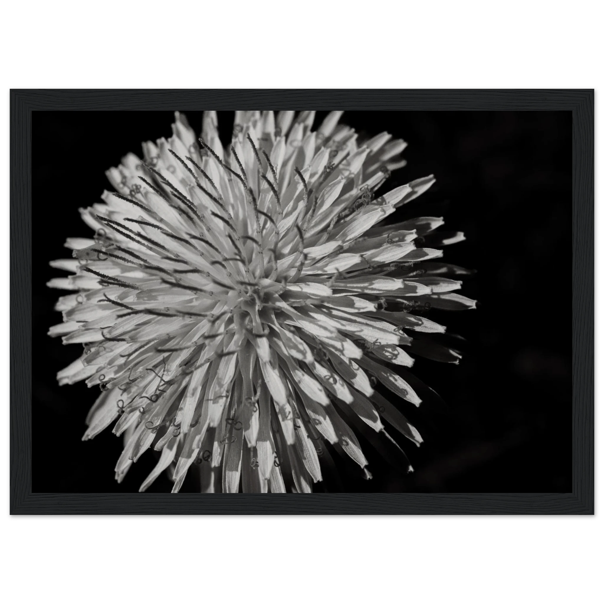 4096d370-c752-4639-b0e9-f8d6e12b64eb