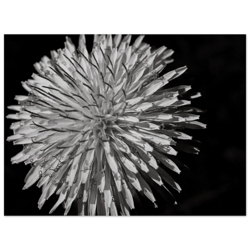 4098608d-e426-4da6-b5fe-2c4a60bcea1c