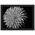 40b811fd-f2ec-4043-a014-5dc429d8a01b