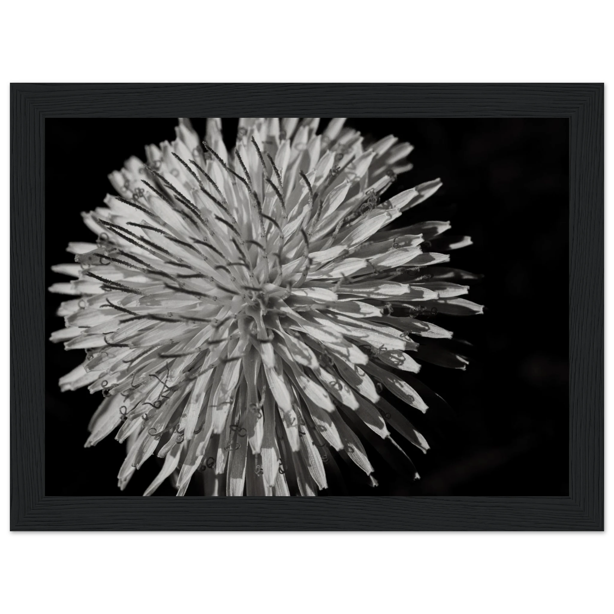 40b811fd-f2ec-4043-a014-5dc429d8a01b