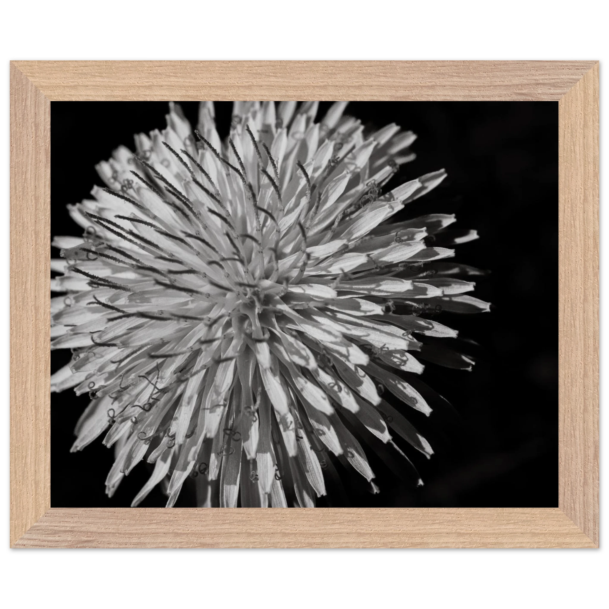 4160819b-e609-491b-8474-3fe109eeb13a