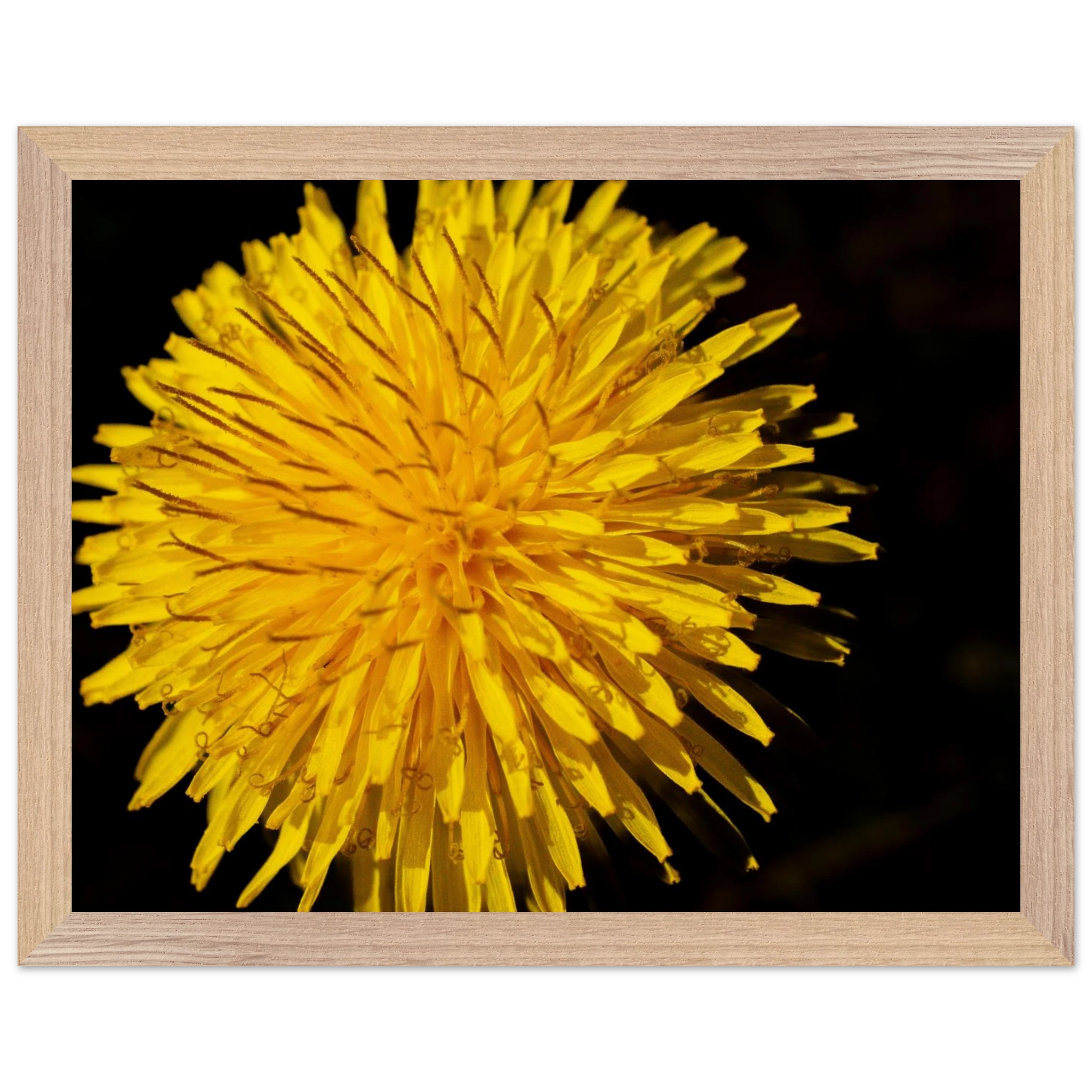 4283827d-abbd-4f97-98d4-82103245a19d