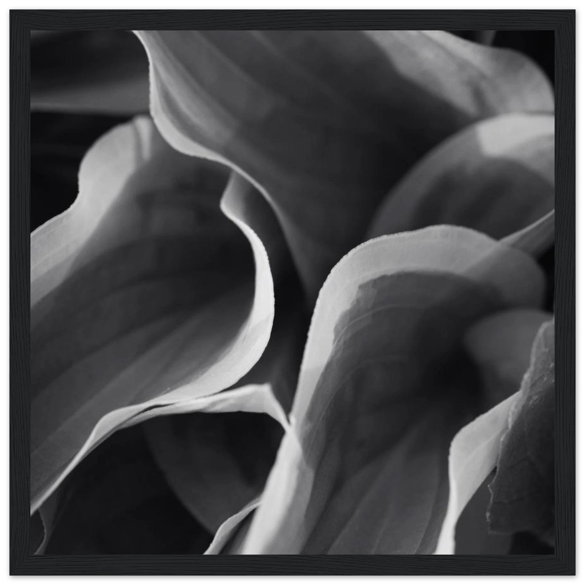 44fb3060-53f1-4513-a70b-e46bb55999ea