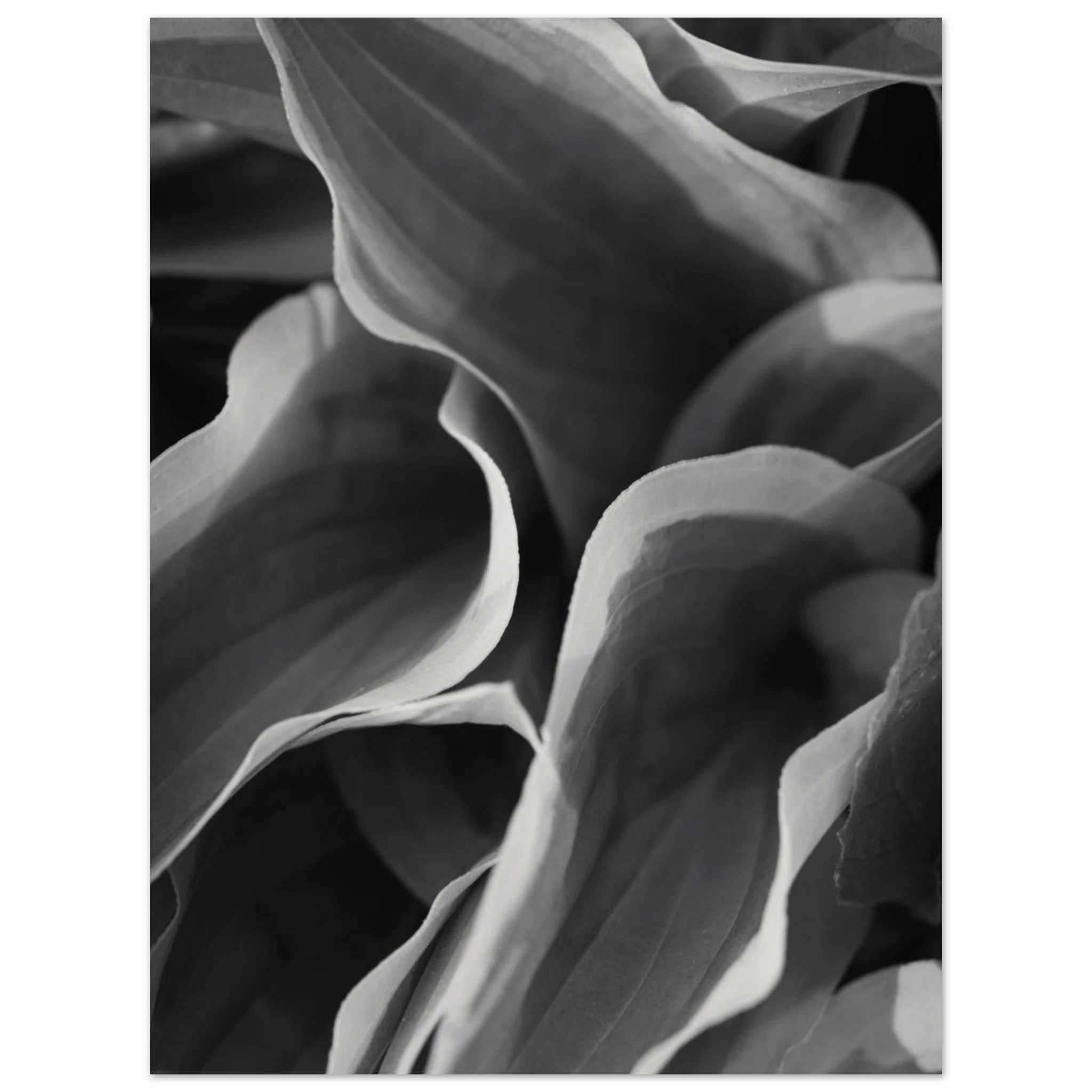 4587b7a7-d95f-4930-93e6-271d8554d794