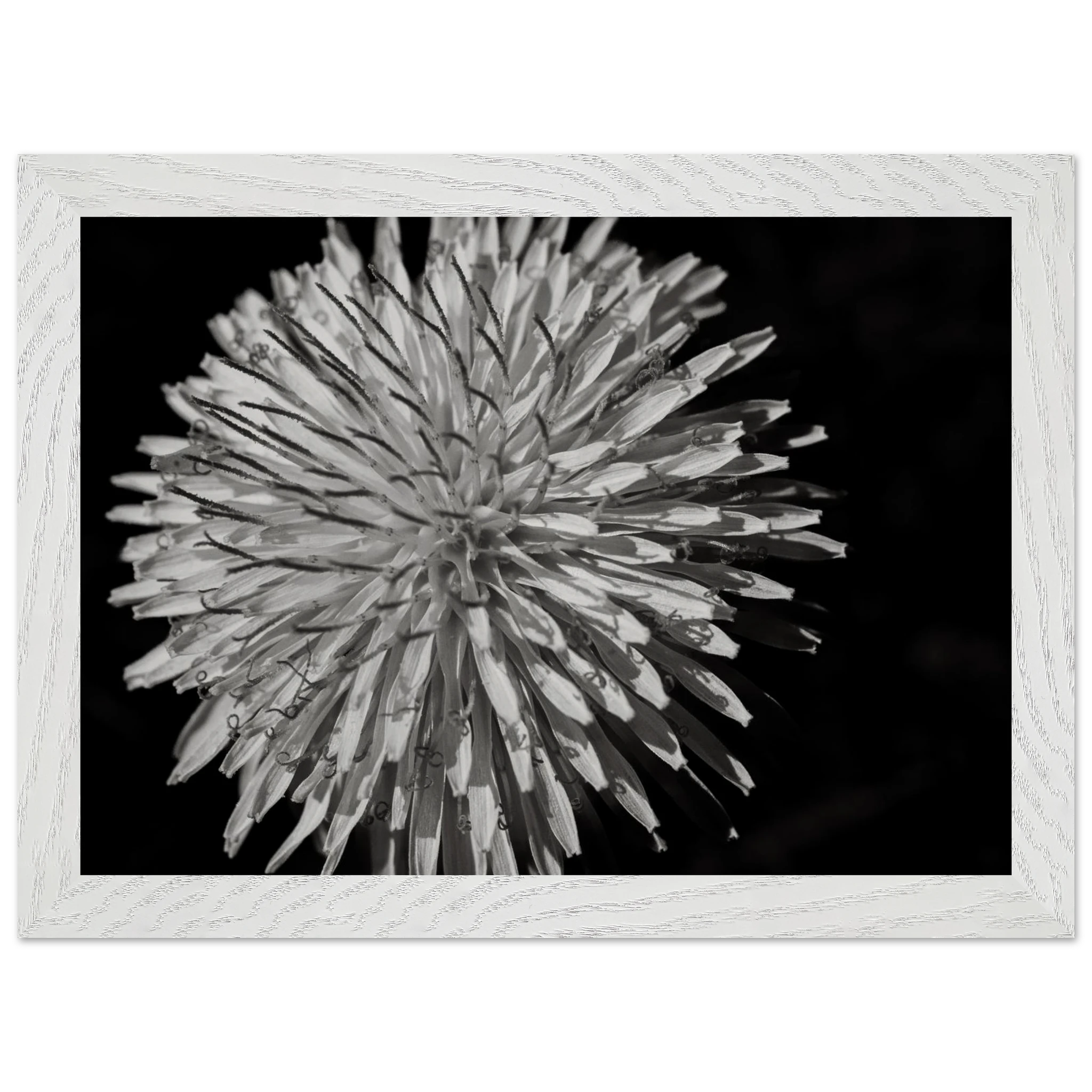 483a22cd-2a47-4b03-9f3c-ac815a5a3547