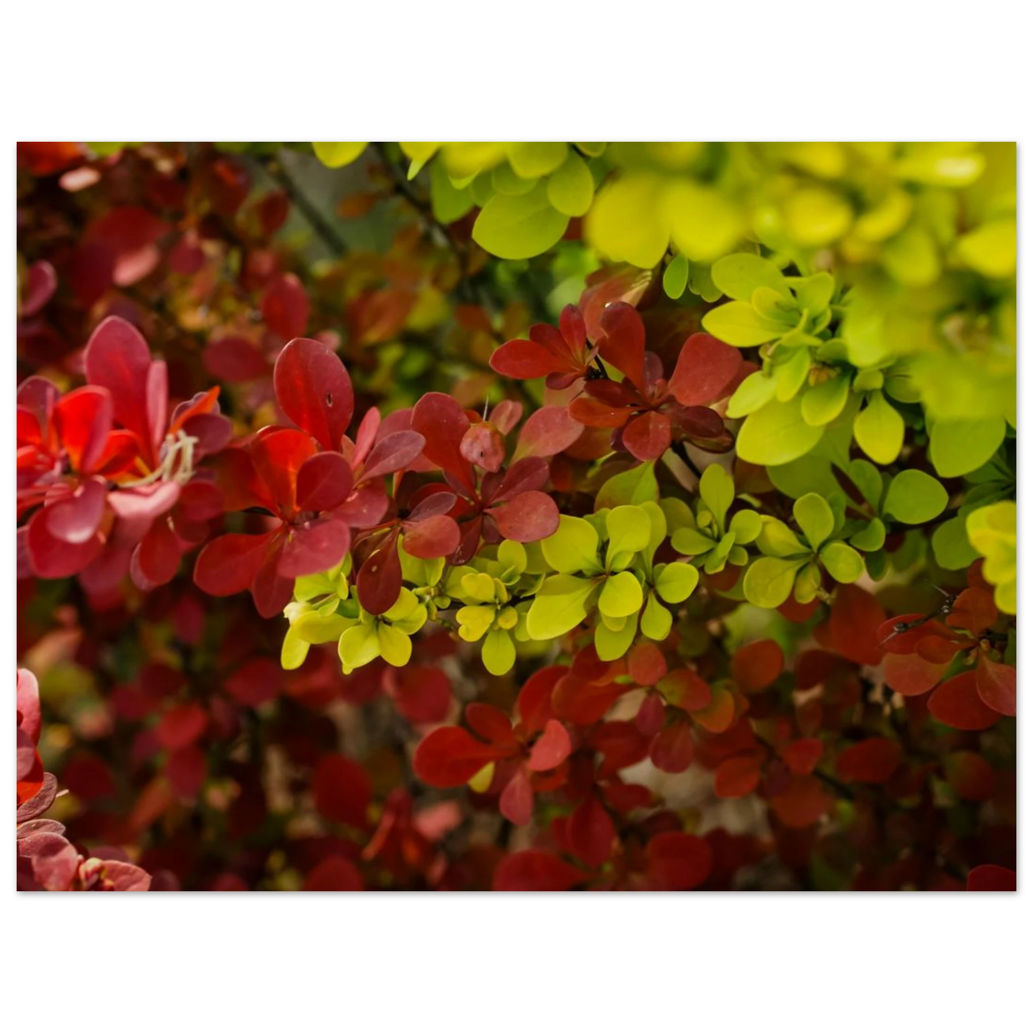 48d85d48-28ba-4220-b621-838295cd01b7