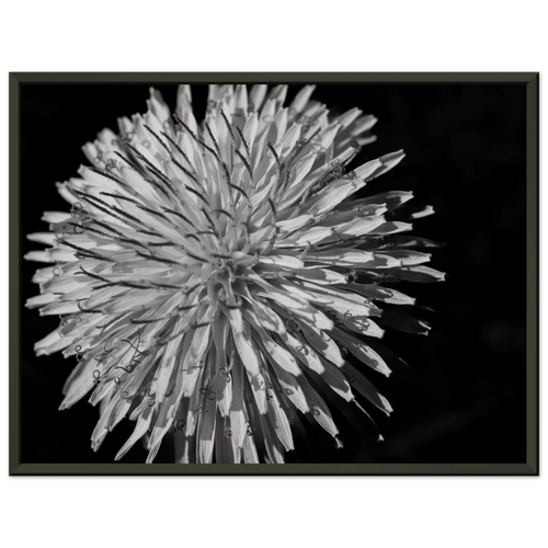 48ece1a1-3561-4312-8c35-2f9002bf9a55